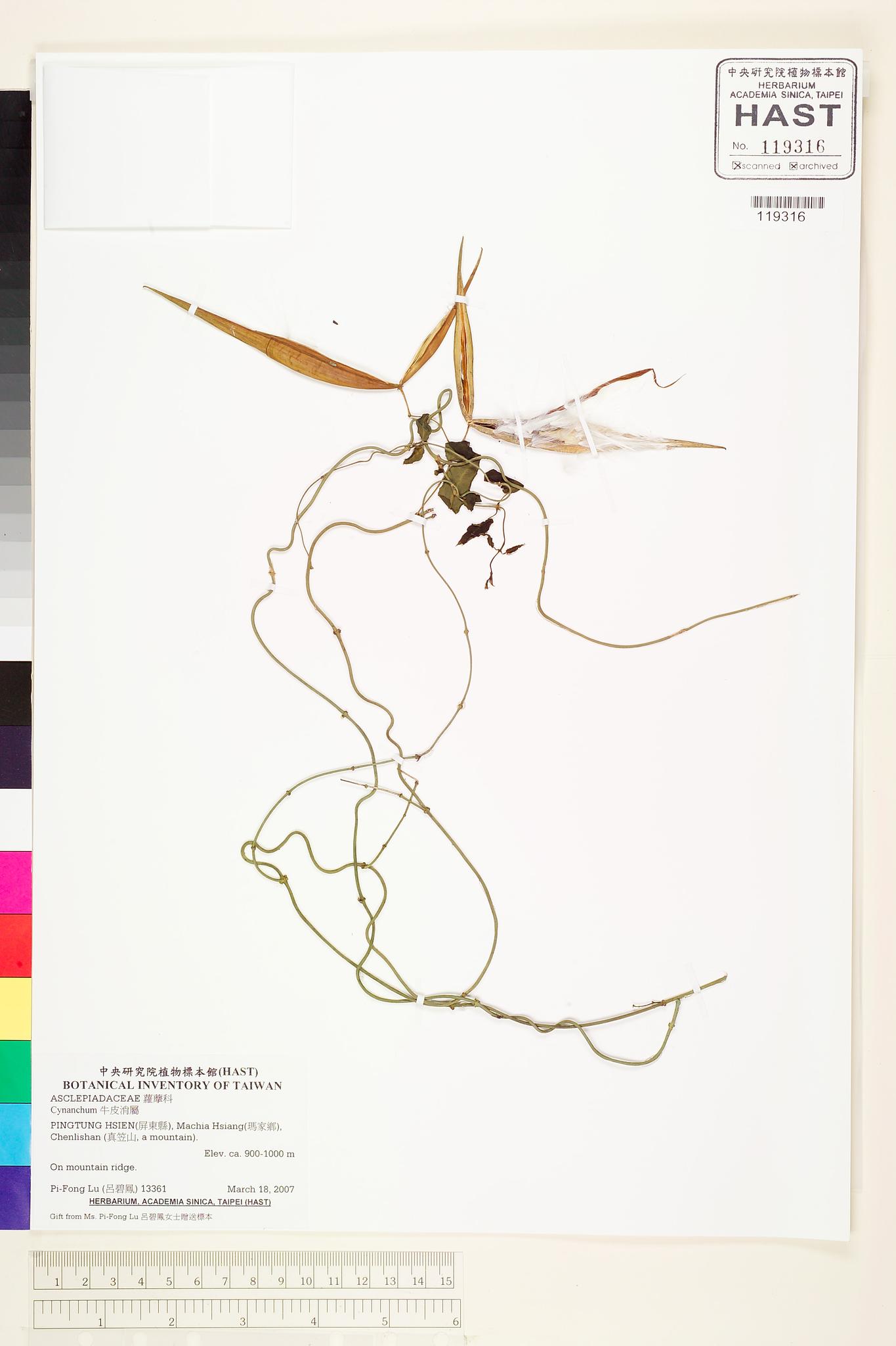 Sample image for viewer