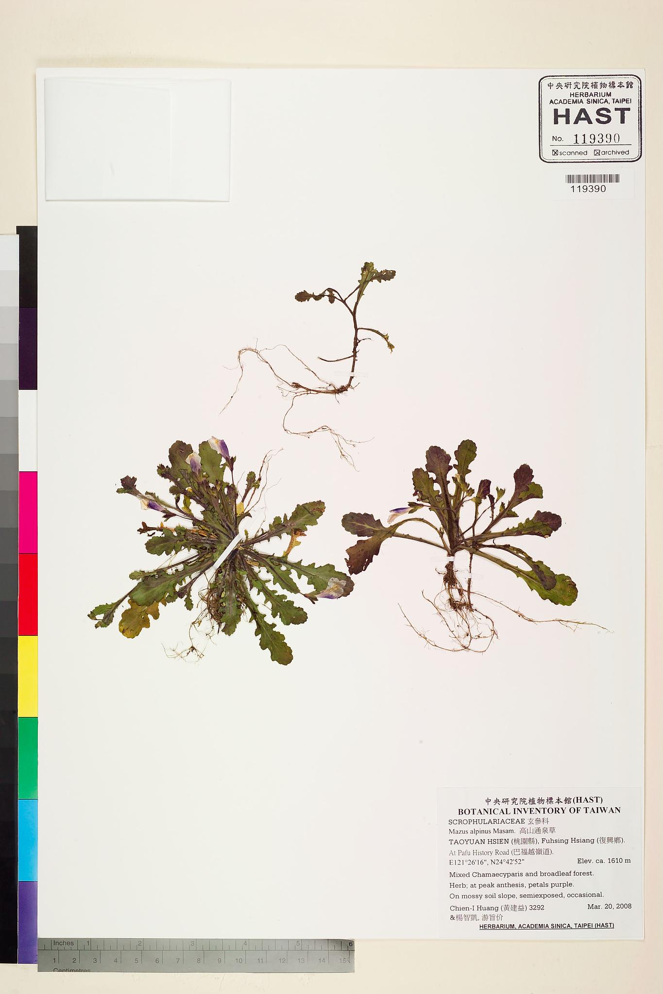 Sample image for viewer