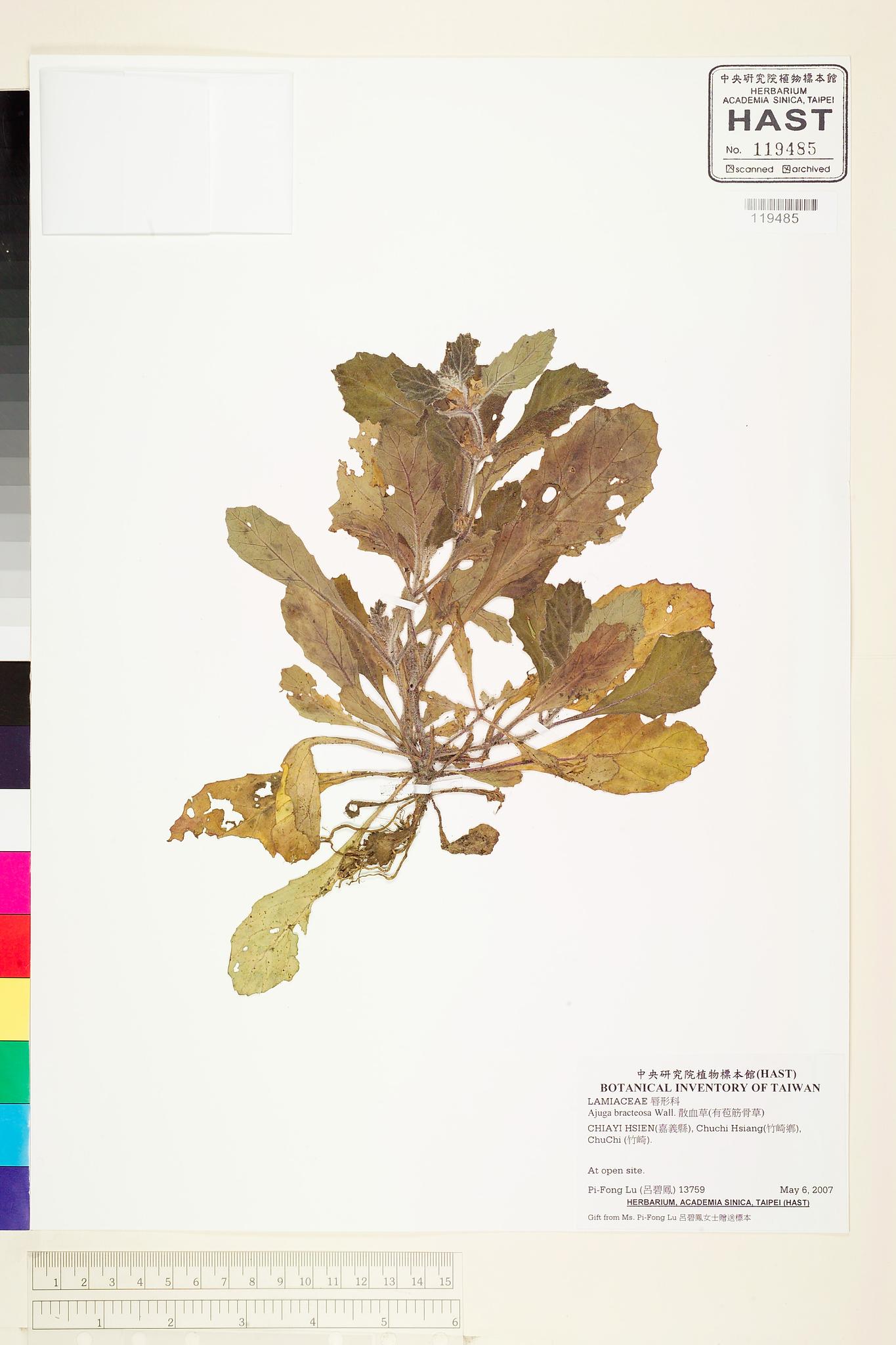 Sample image for viewer