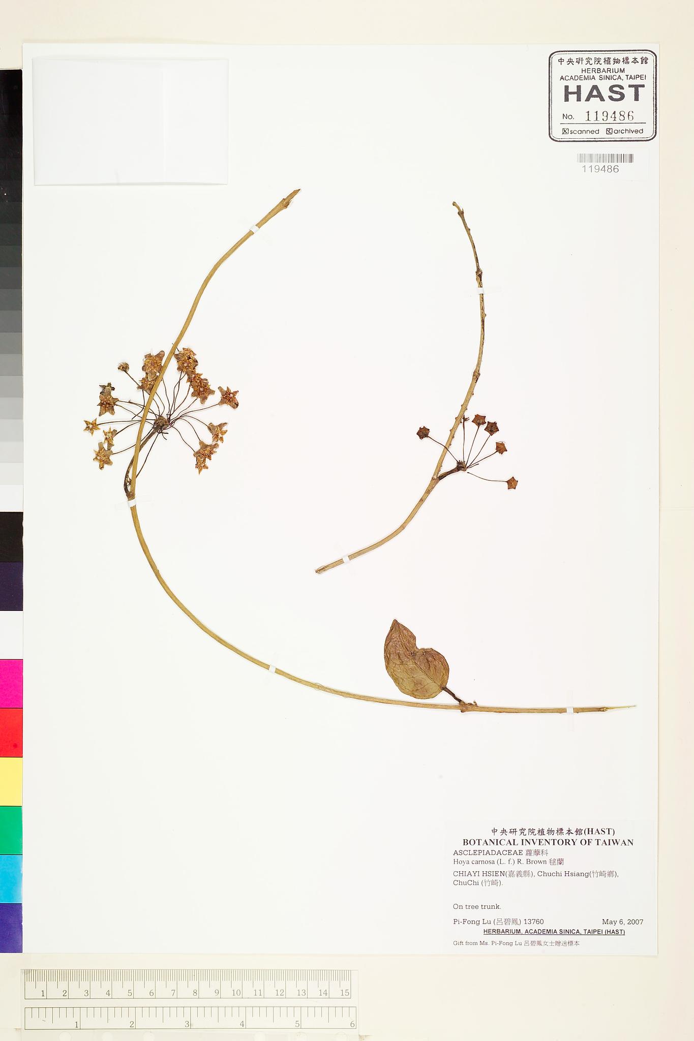 Sample image for viewer