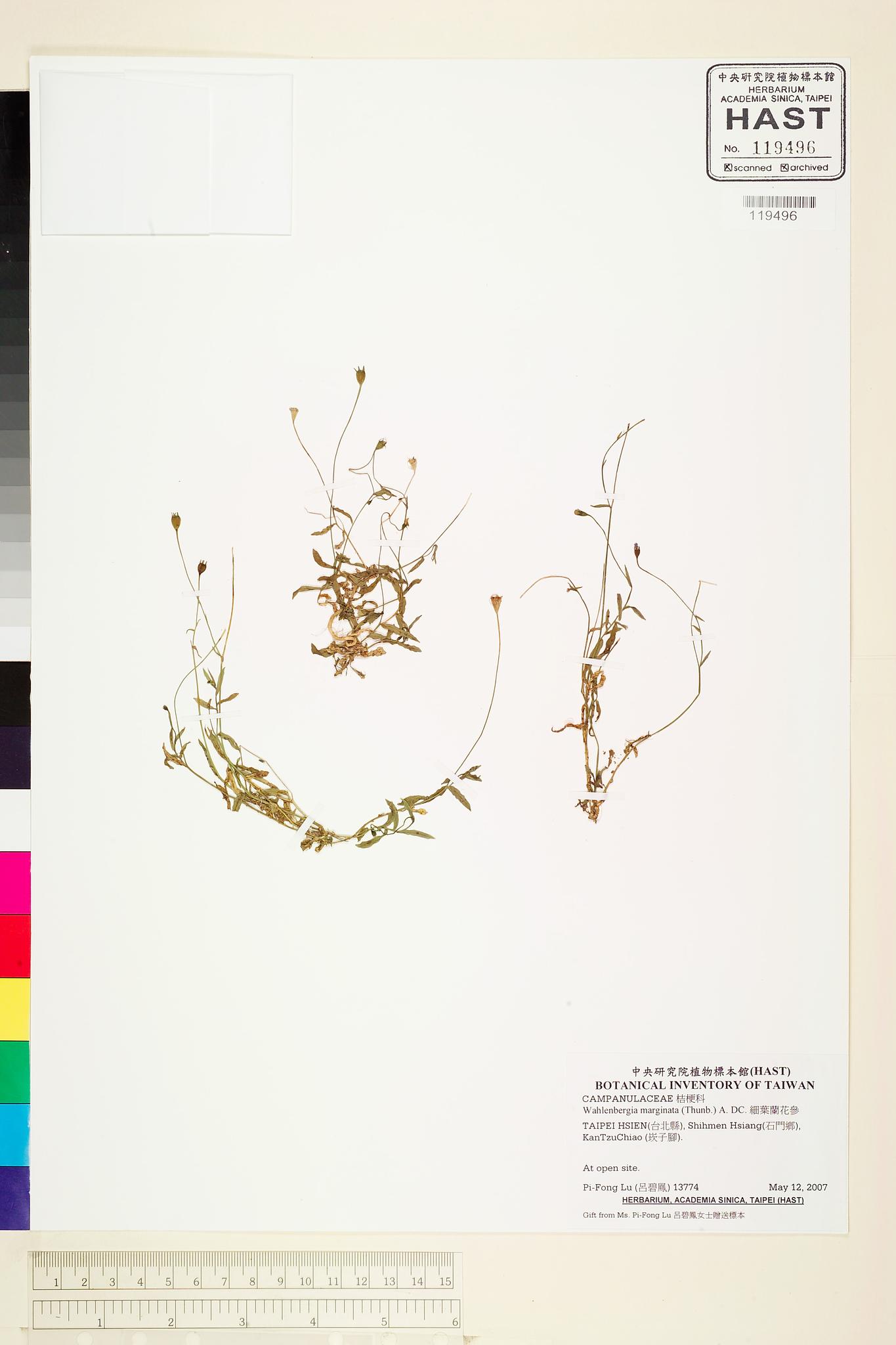 Sample image for viewer