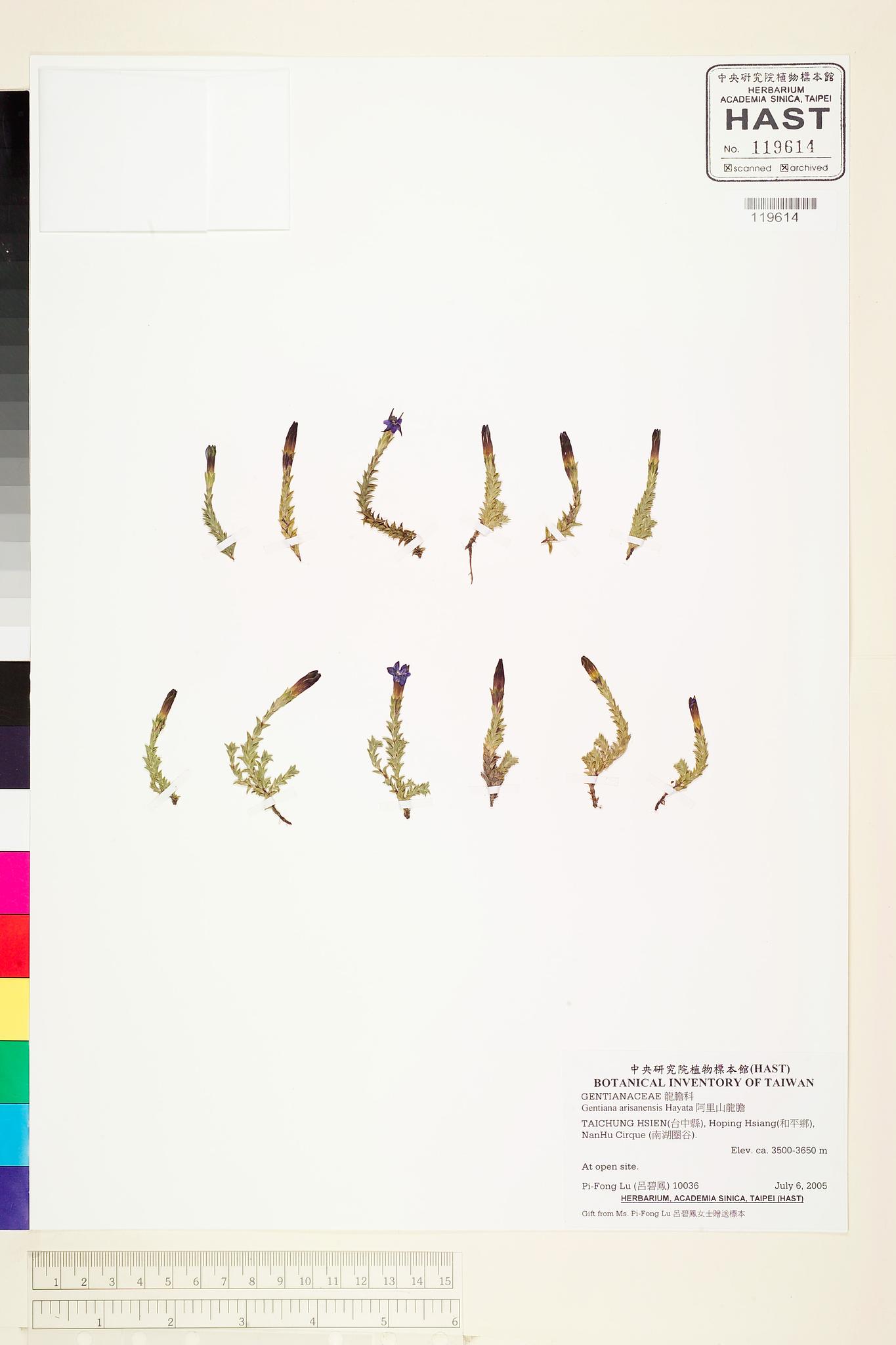 Sample image for viewer