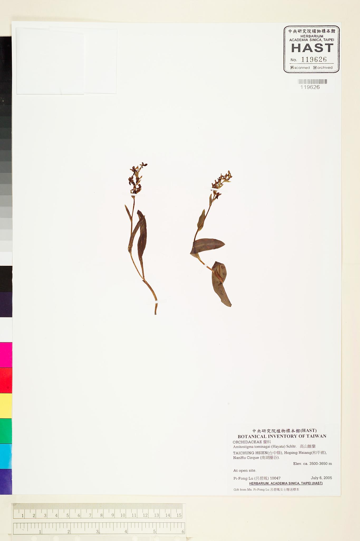 Sample image for viewer