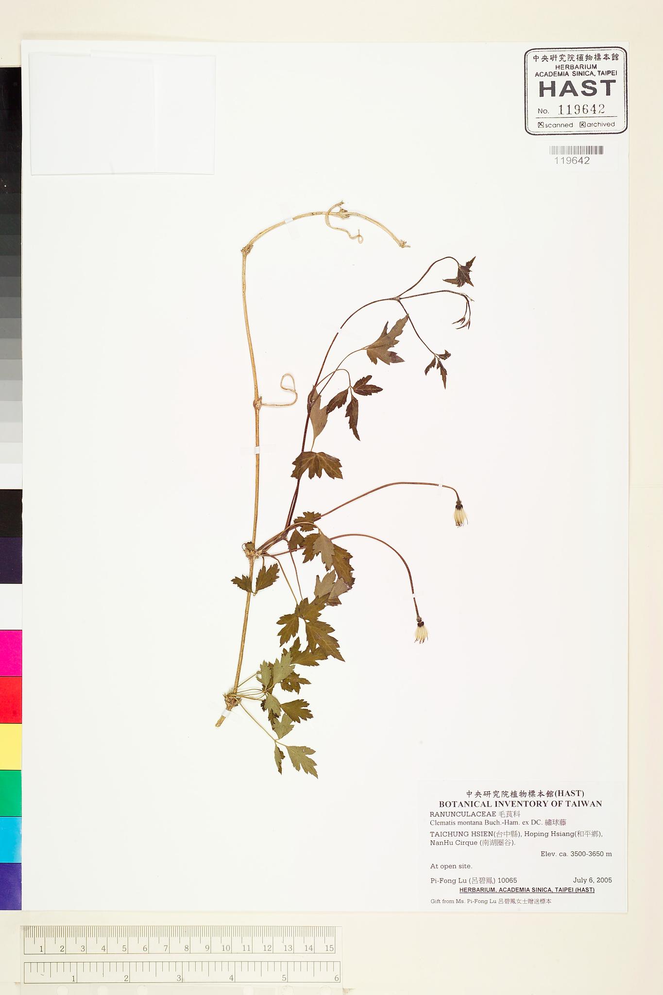 Sample image for viewer