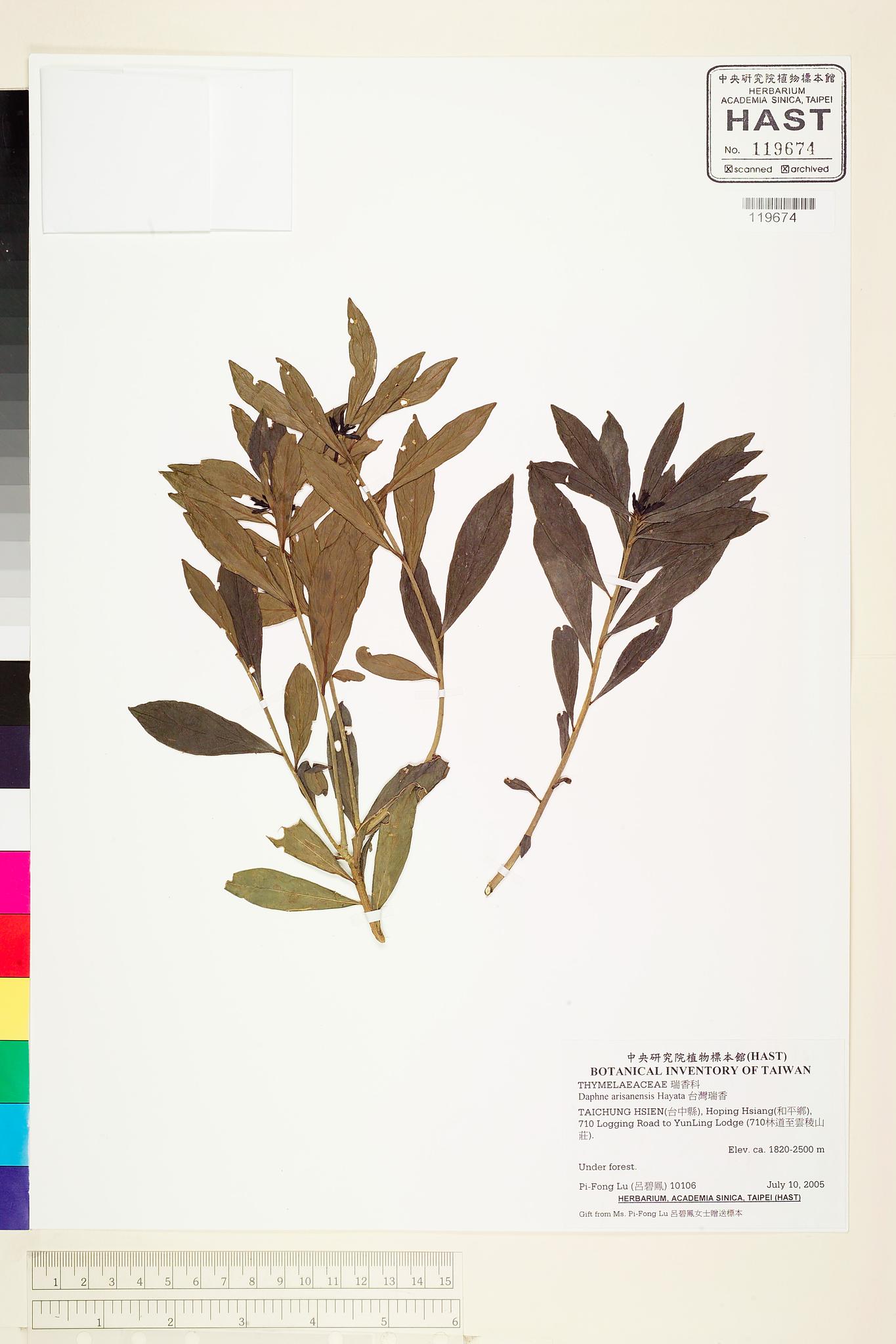 Sample image for viewer