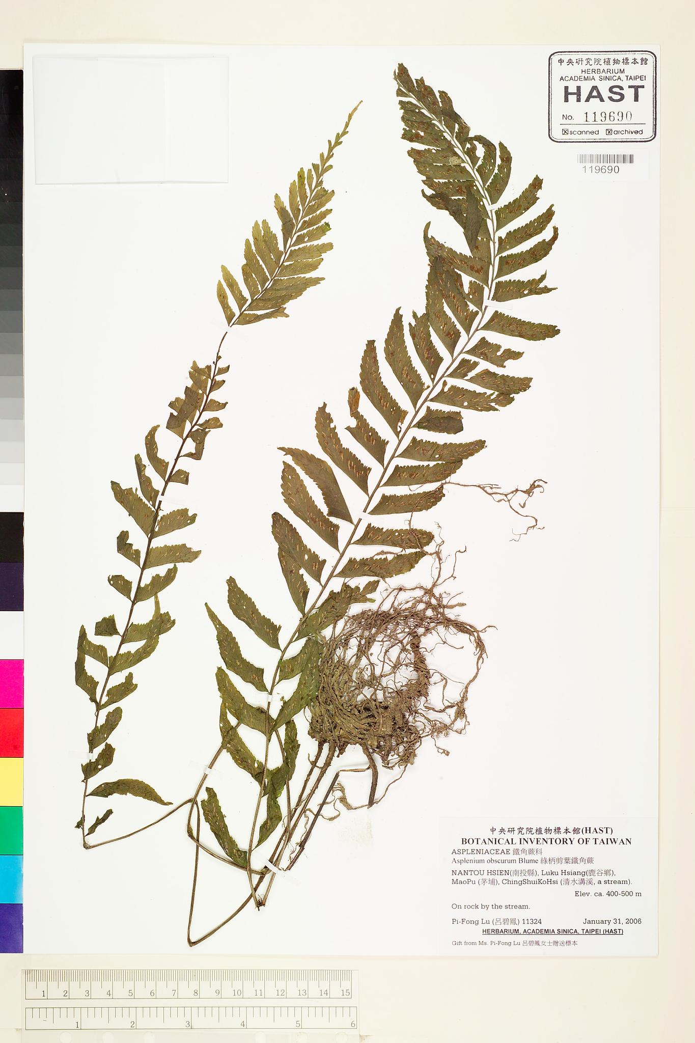 Sample image for viewer