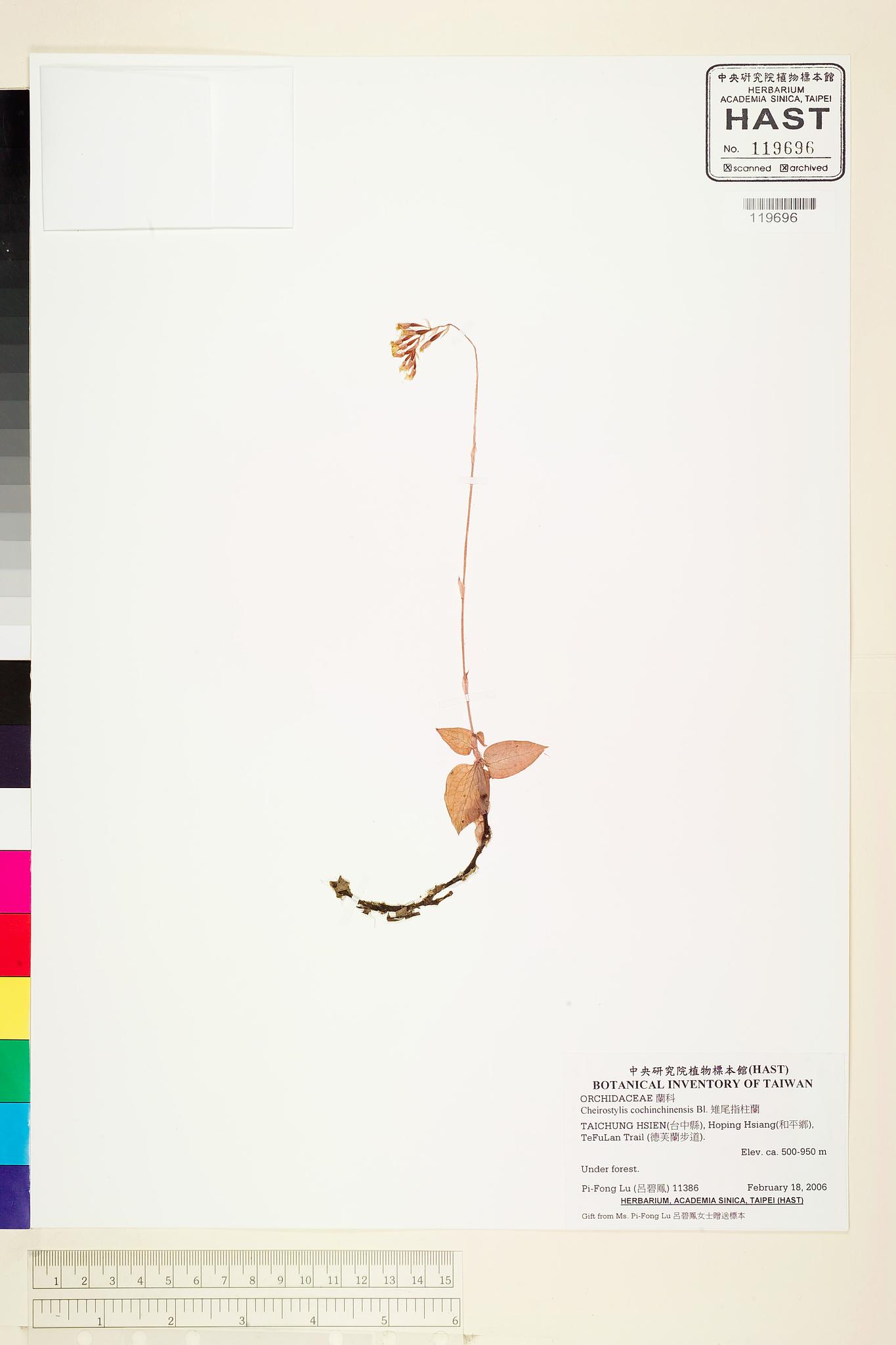 Sample image for viewer