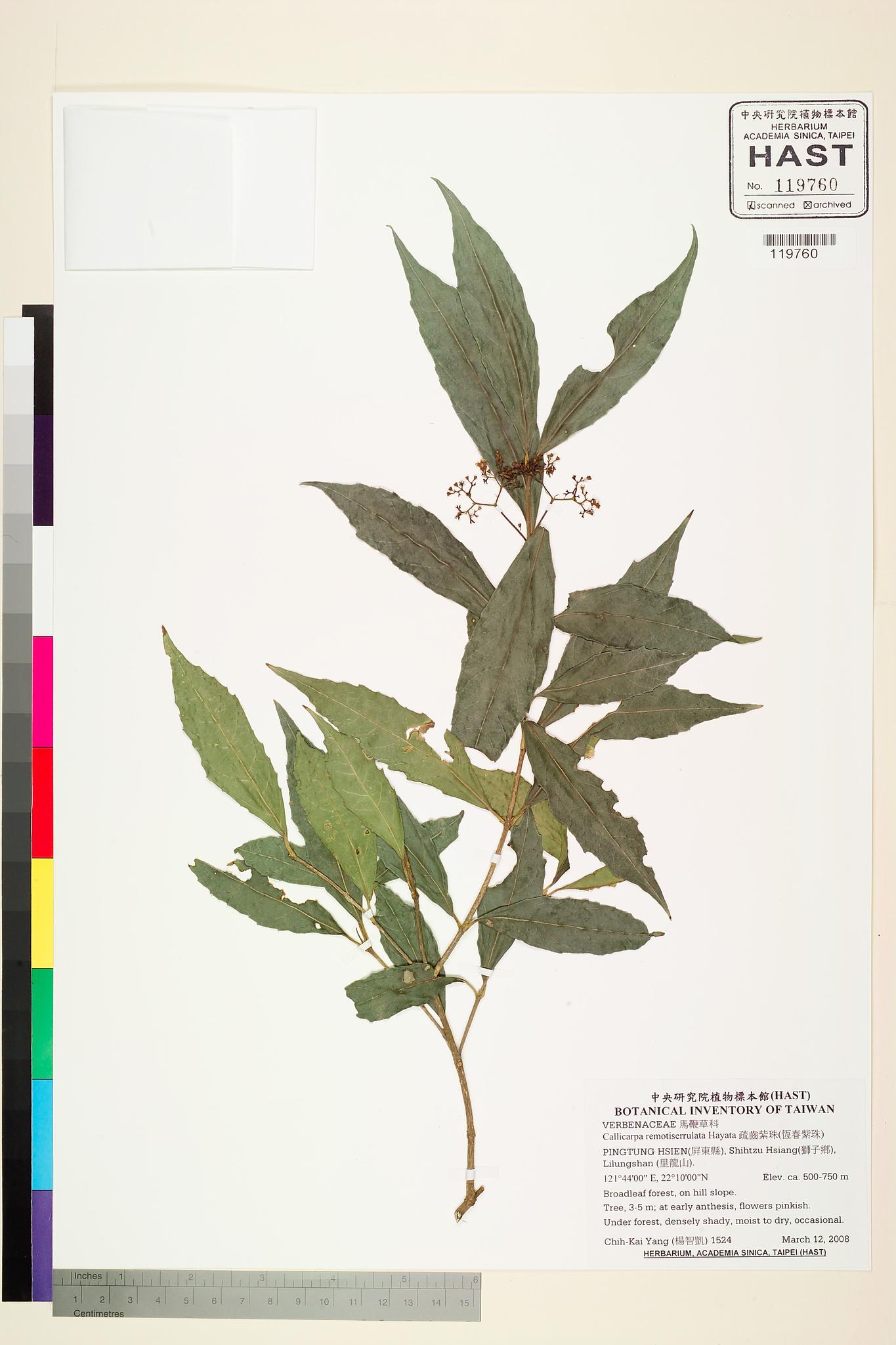 Sample image for viewer