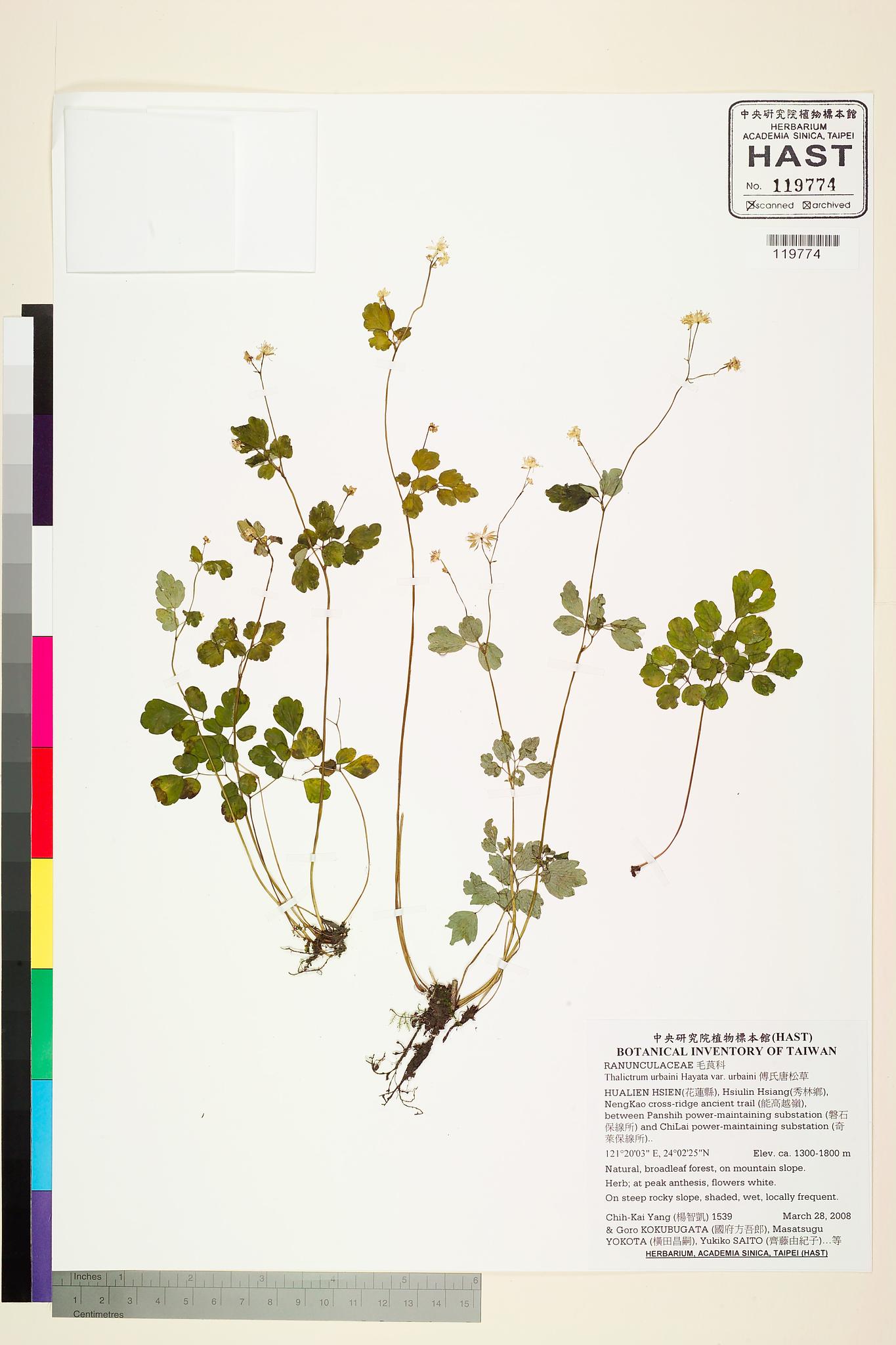 Sample image for viewer