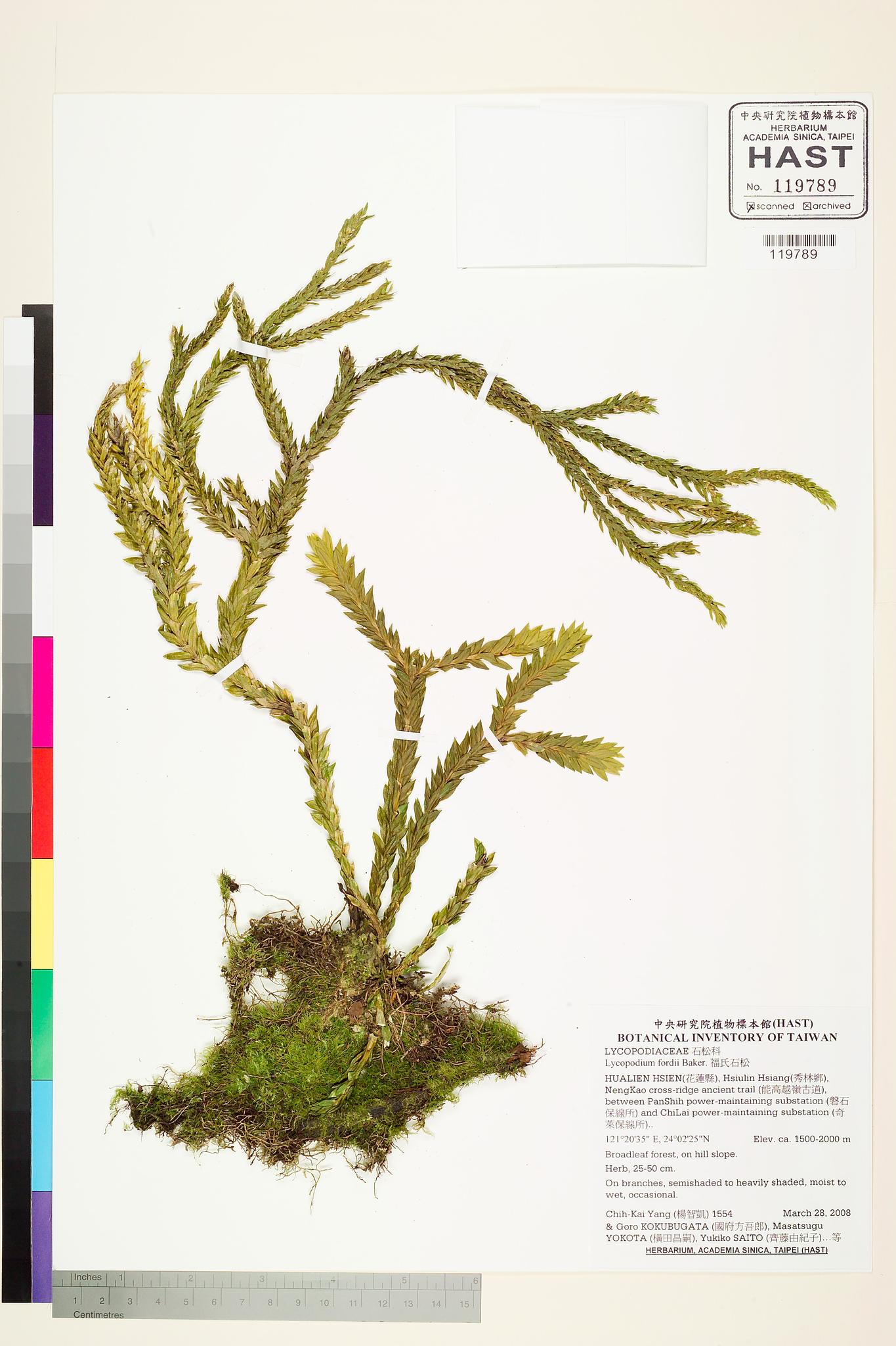 Sample image for viewer