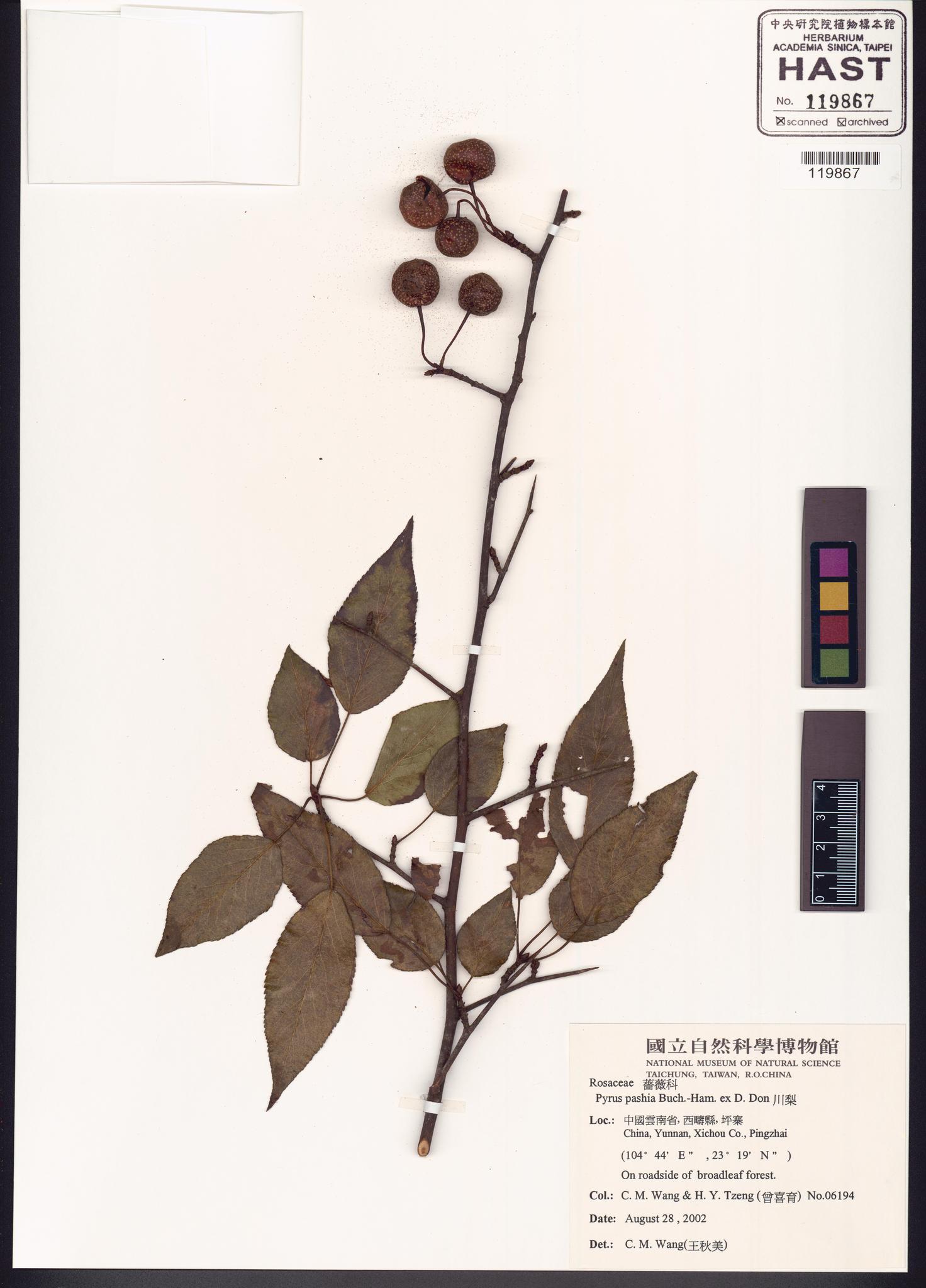 Sample image for viewer