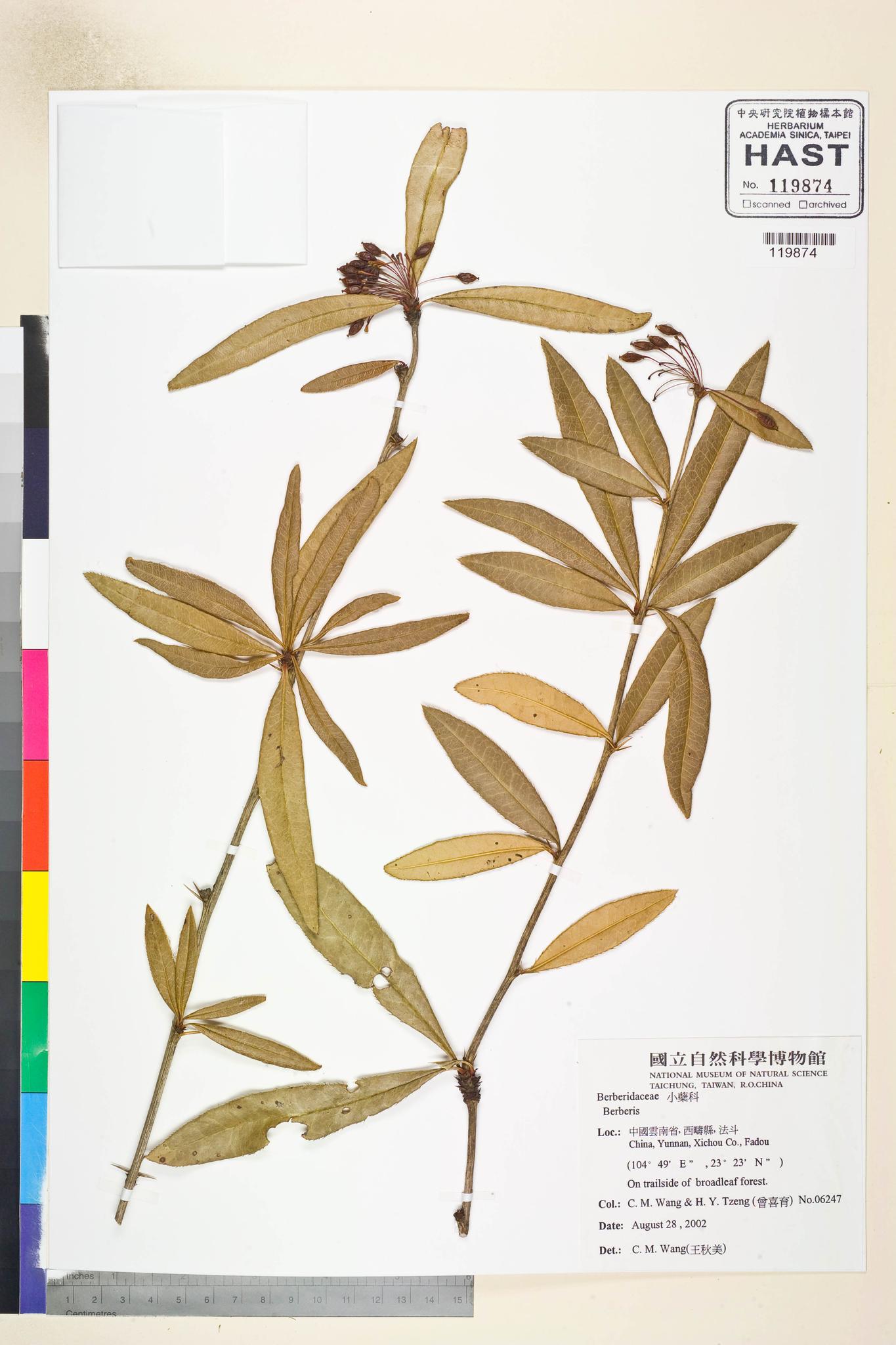 Sample image for viewer