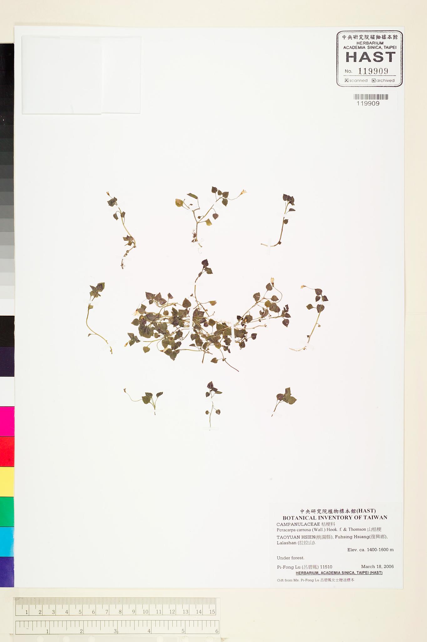 Sample image for viewer