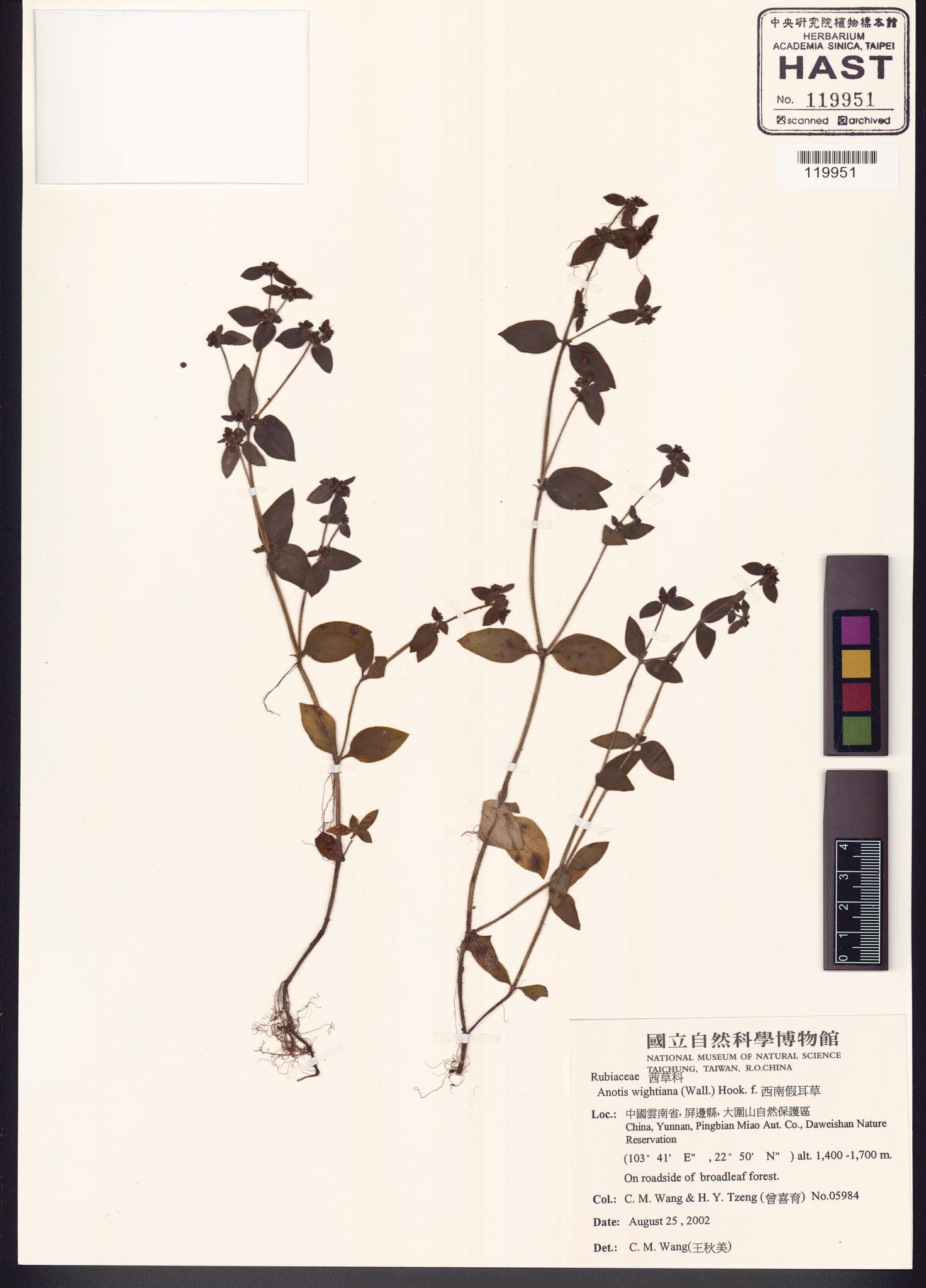 Sample image for viewer