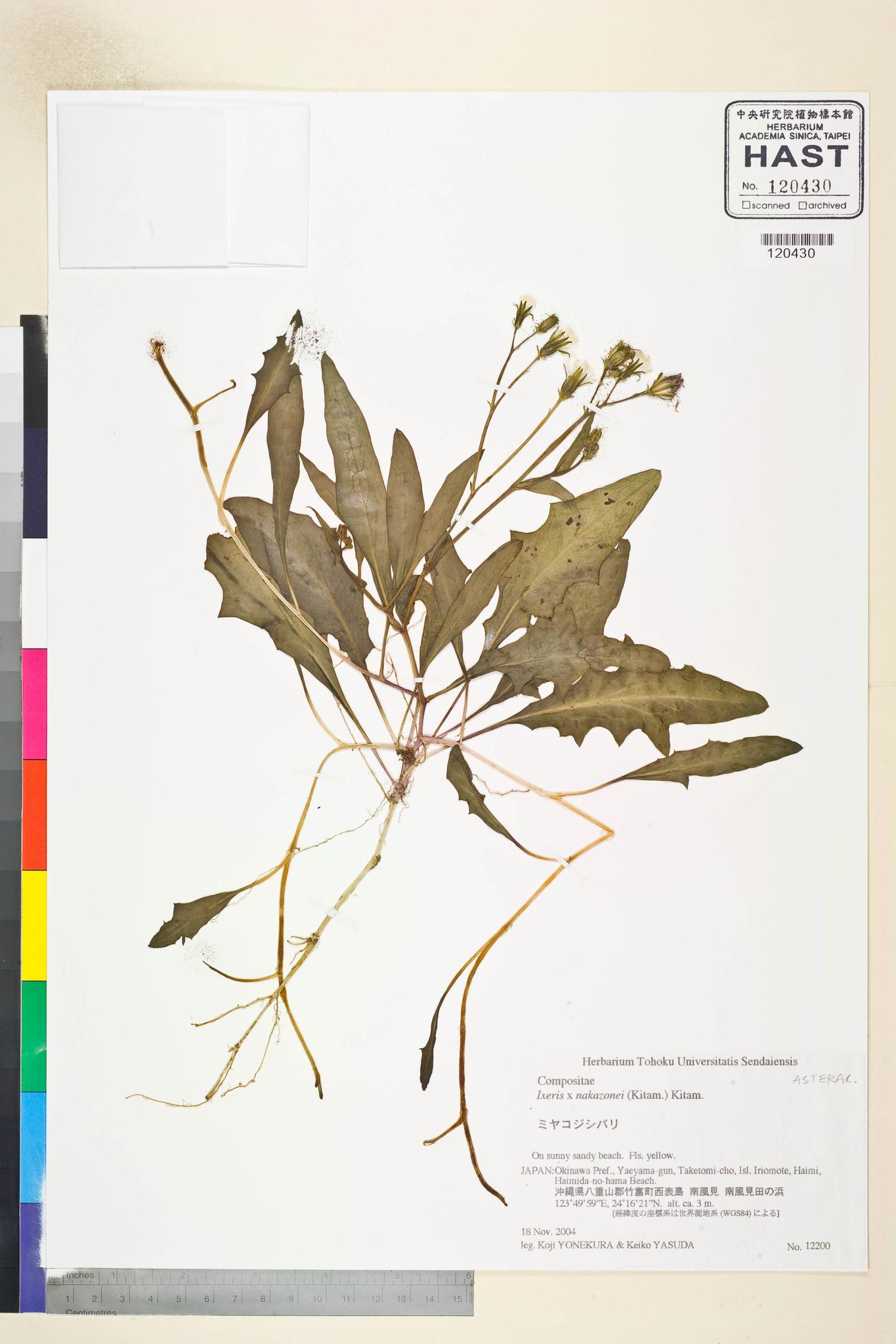 Specimen image