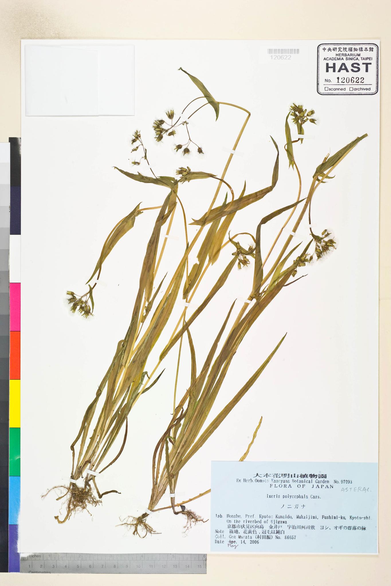 Sample image for viewer