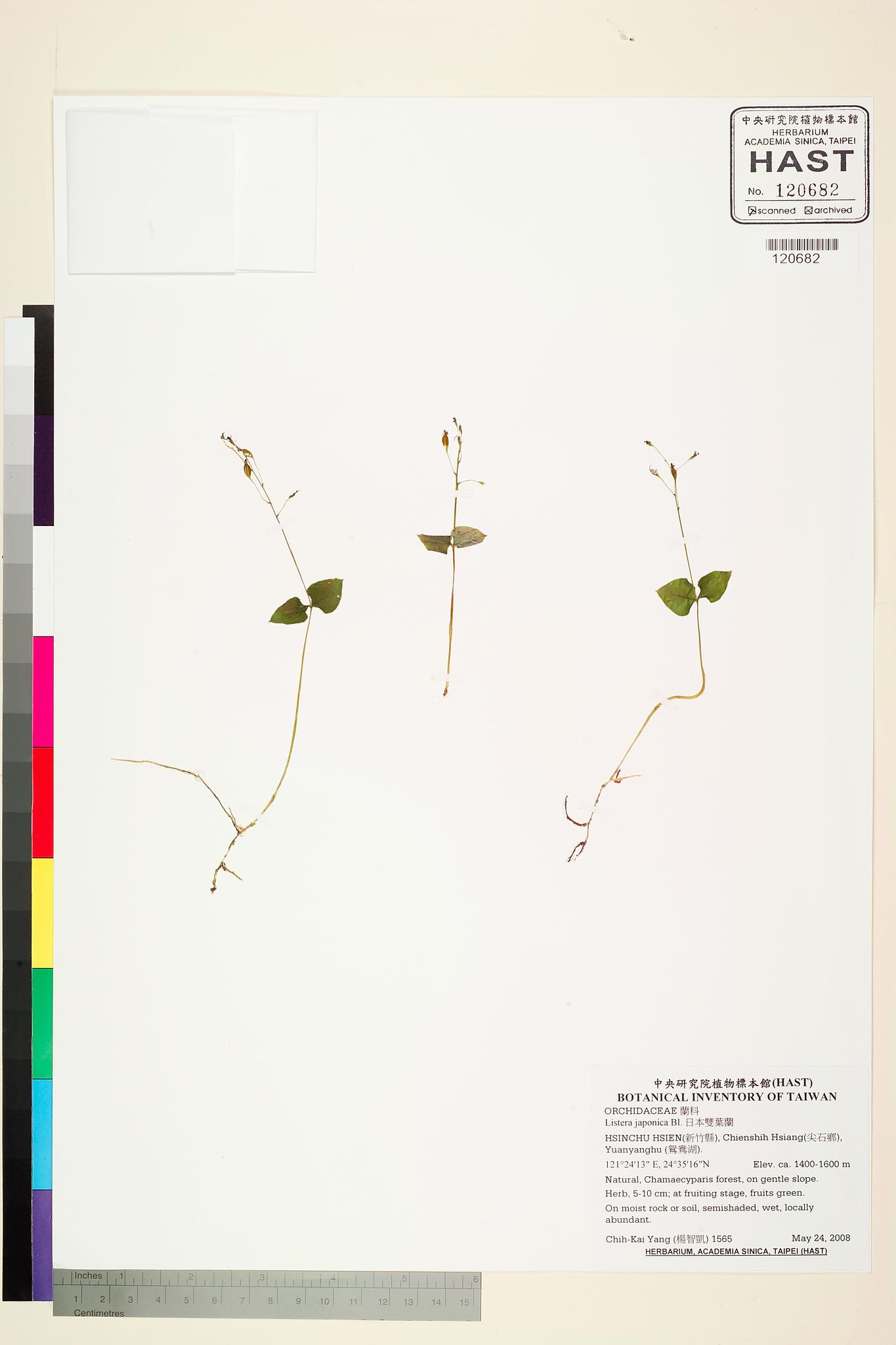 Sample image for viewer