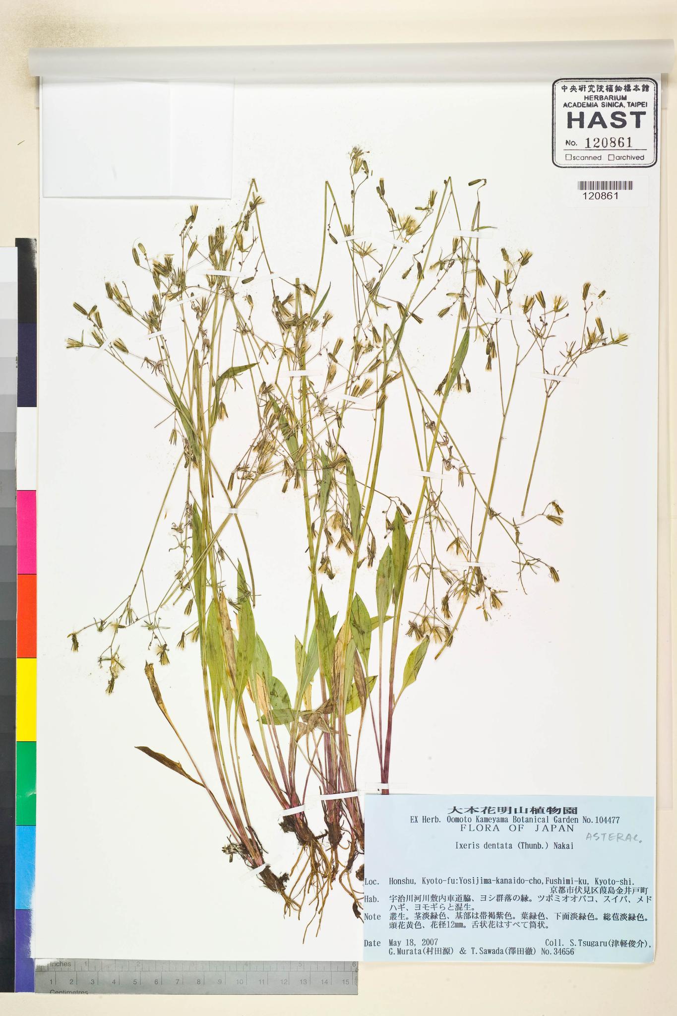 Specimen image