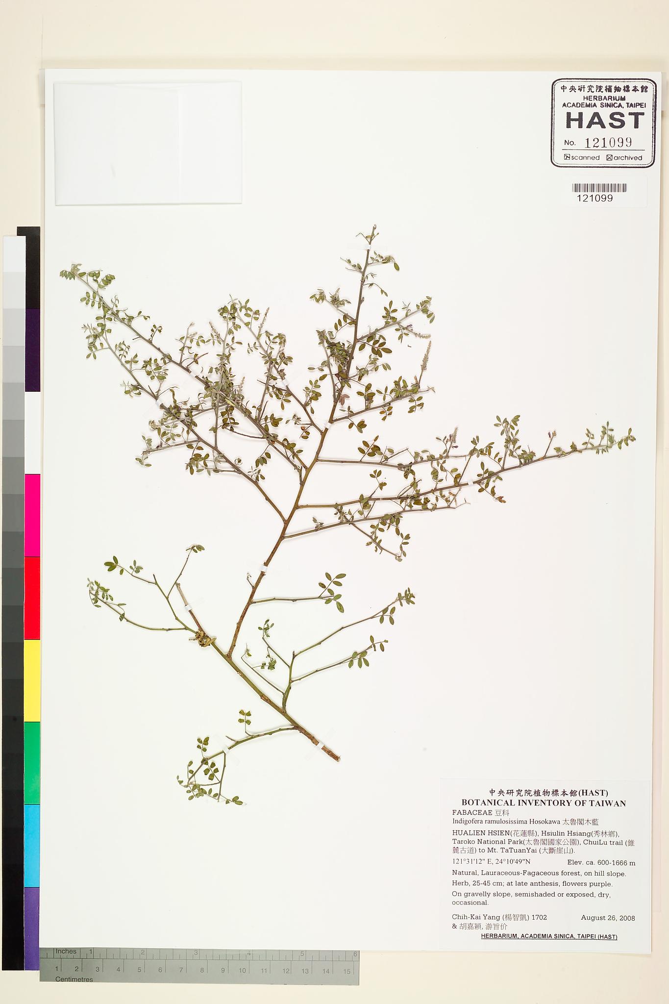 Sample image for viewer