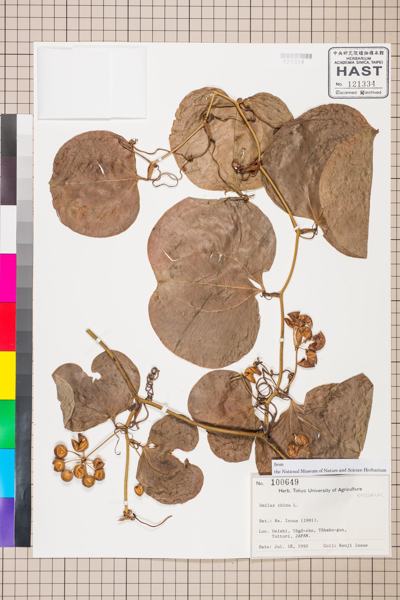 Specimen image