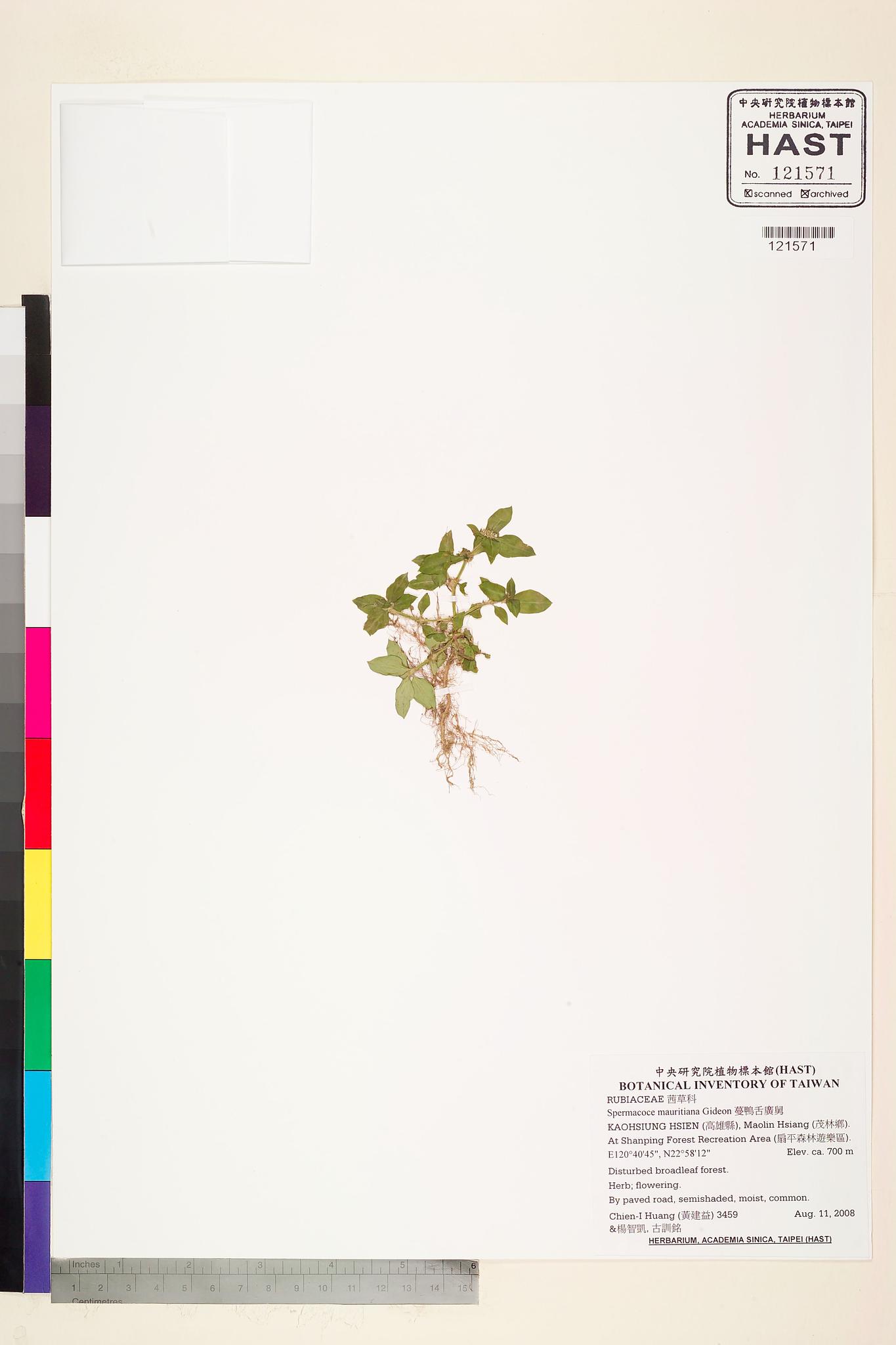 Sample image for viewer