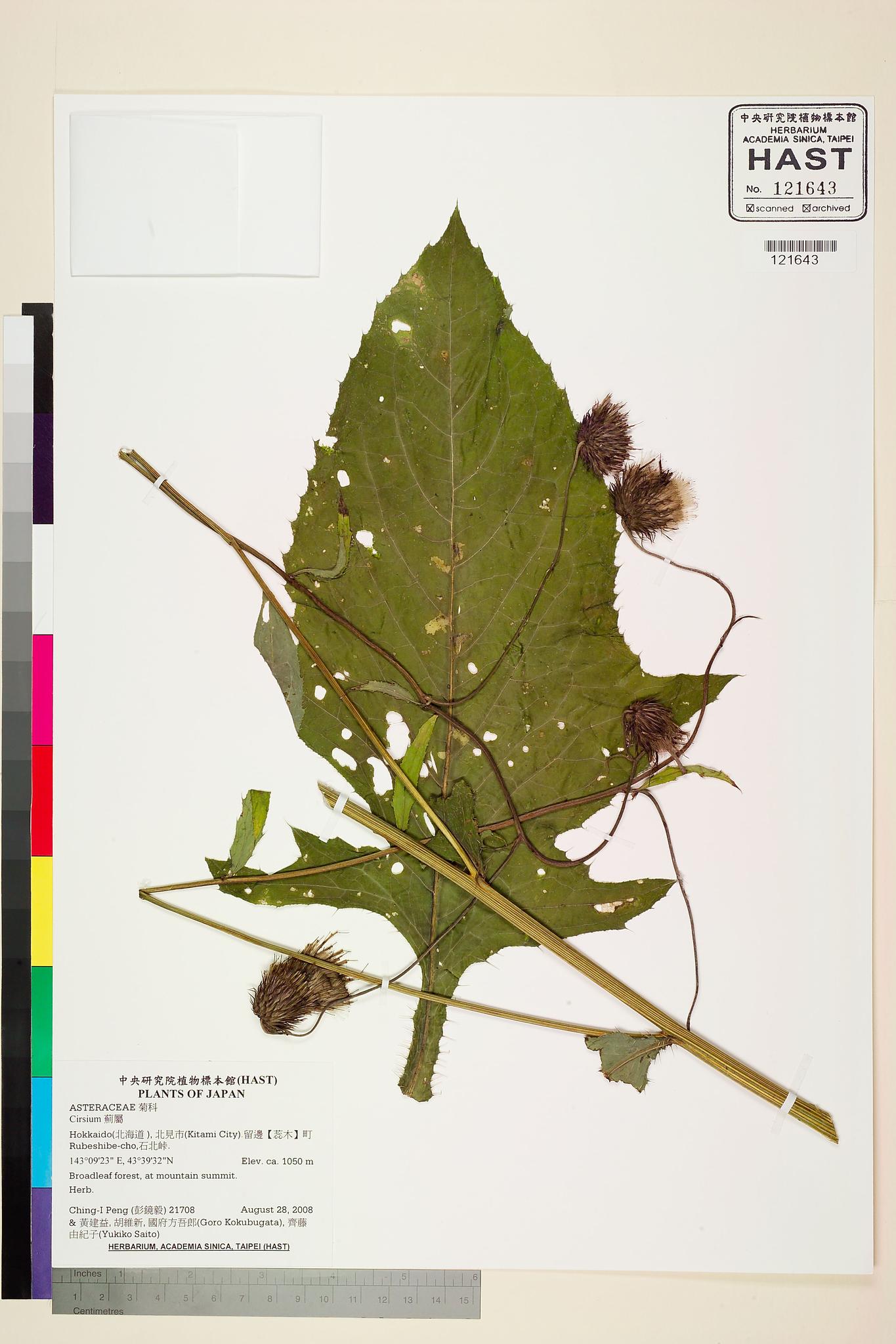 Specimen image
