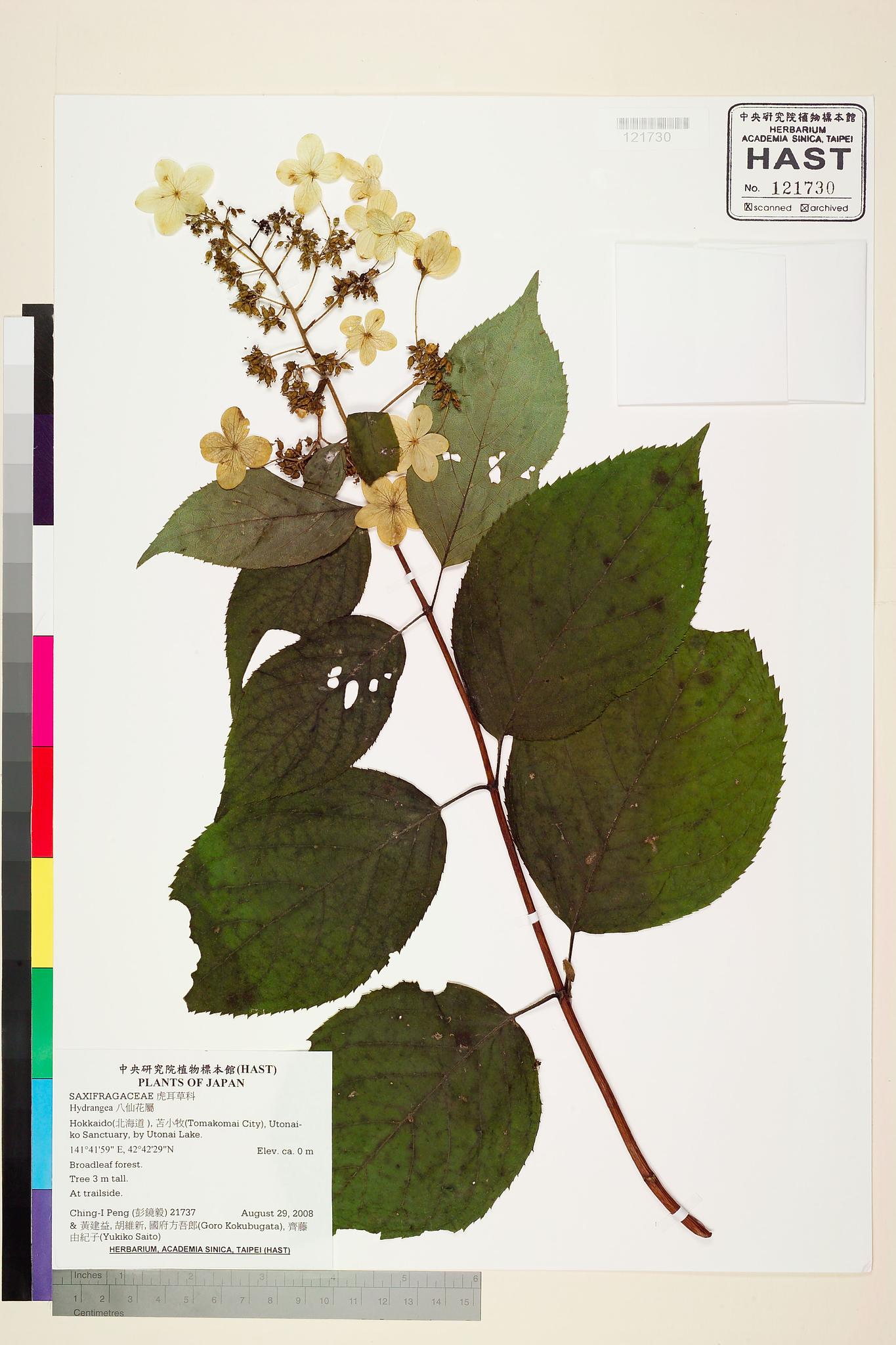 Sample image for viewer