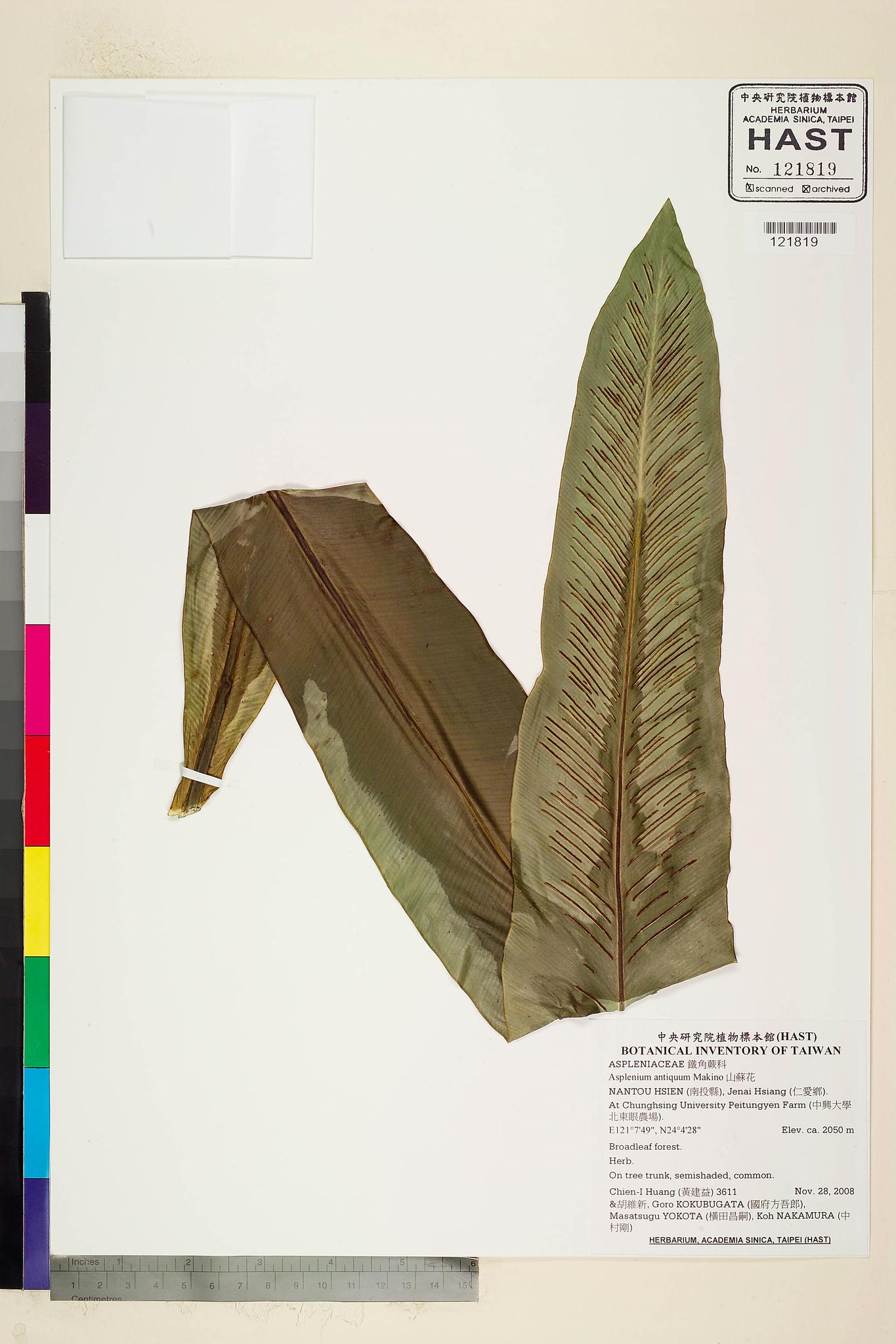 Sample image for viewer