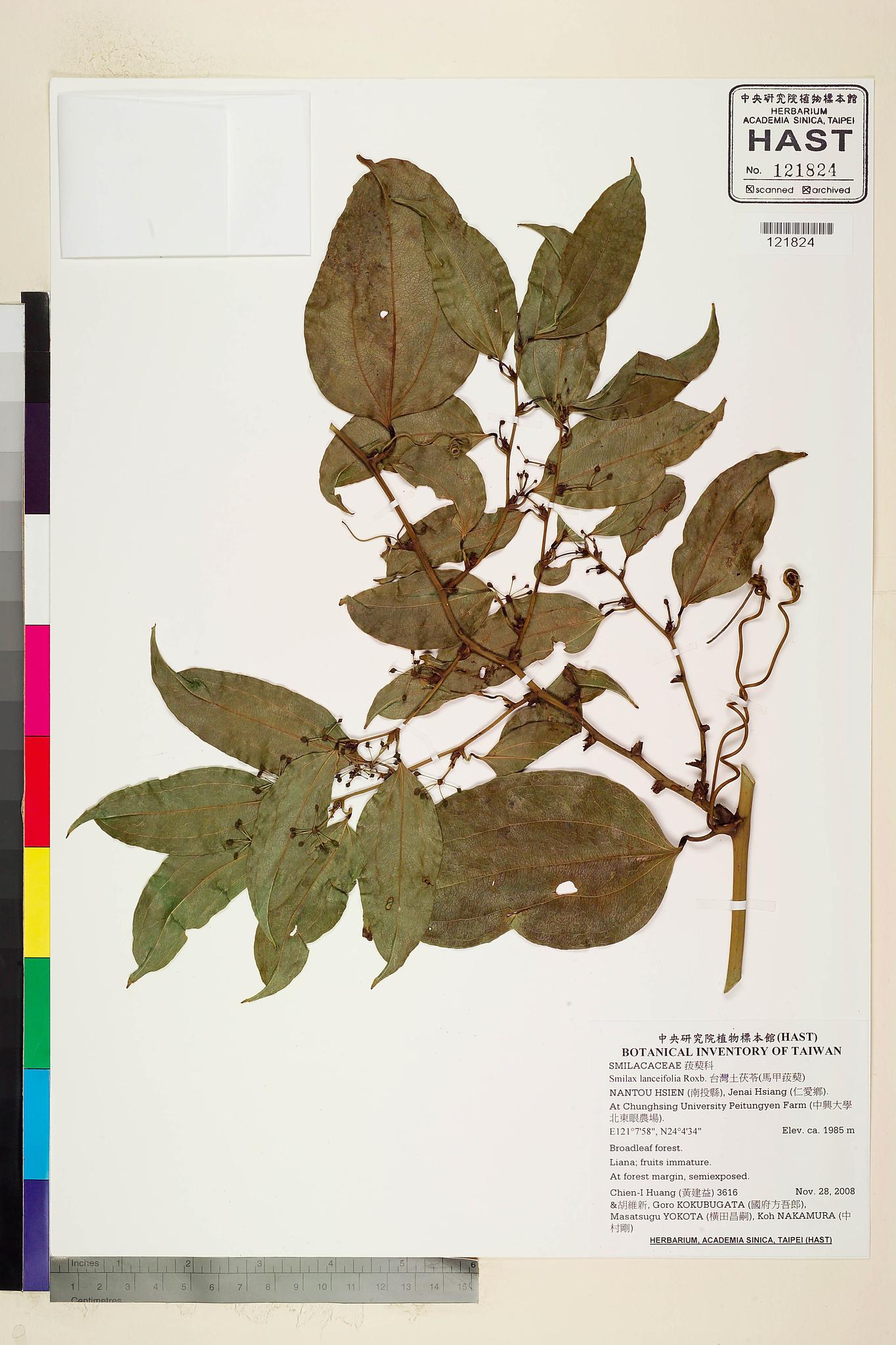 Sample image for viewer