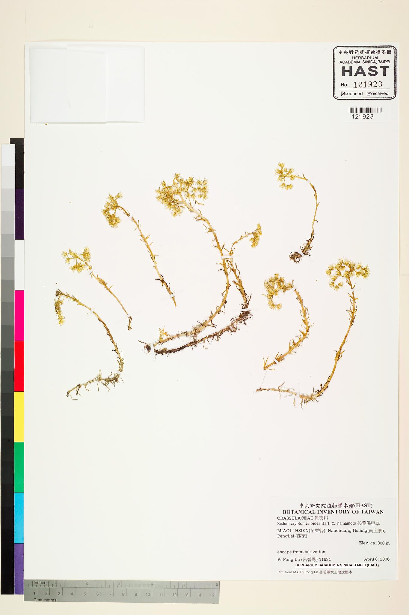 Sample image for viewer