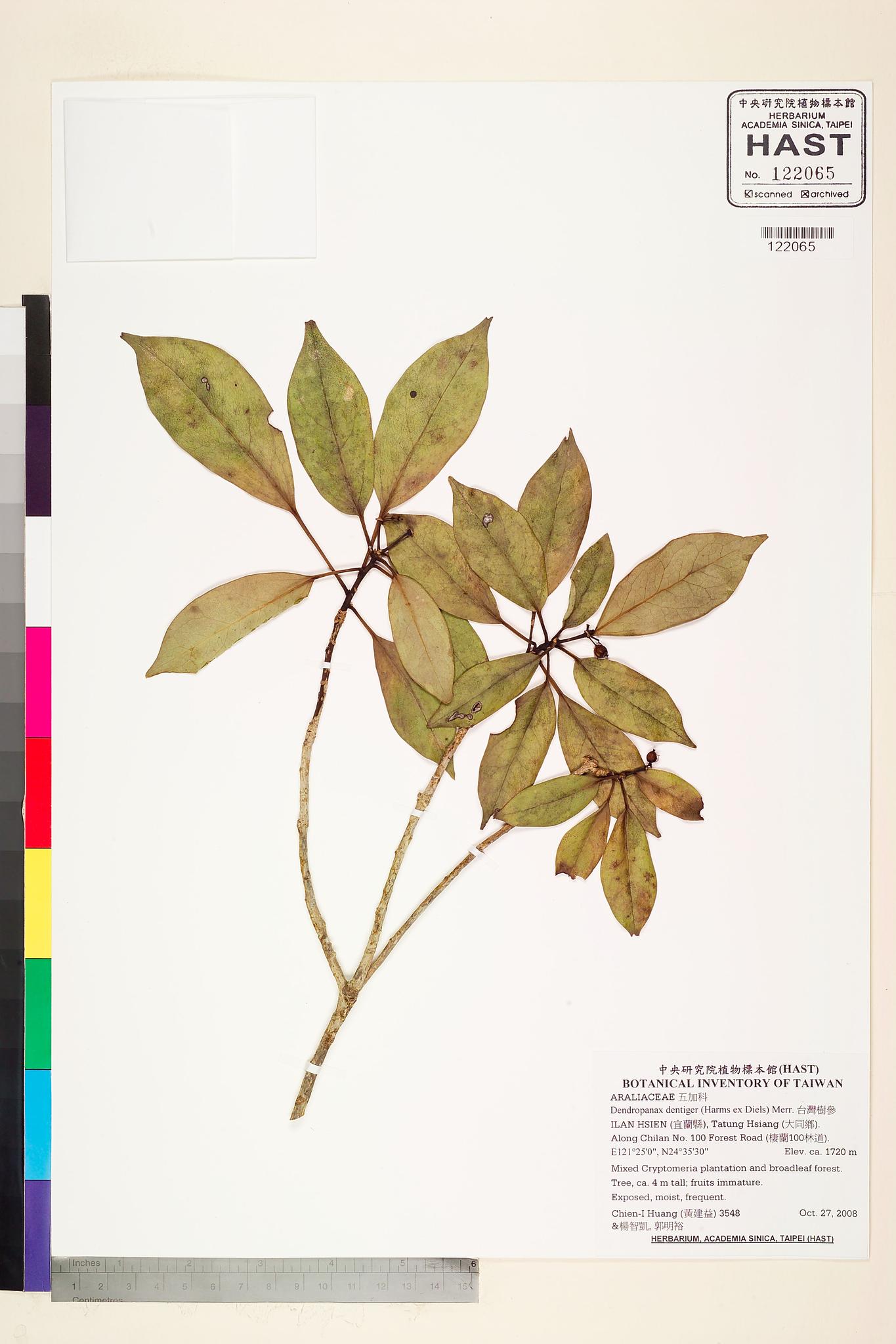 Sample image for viewer