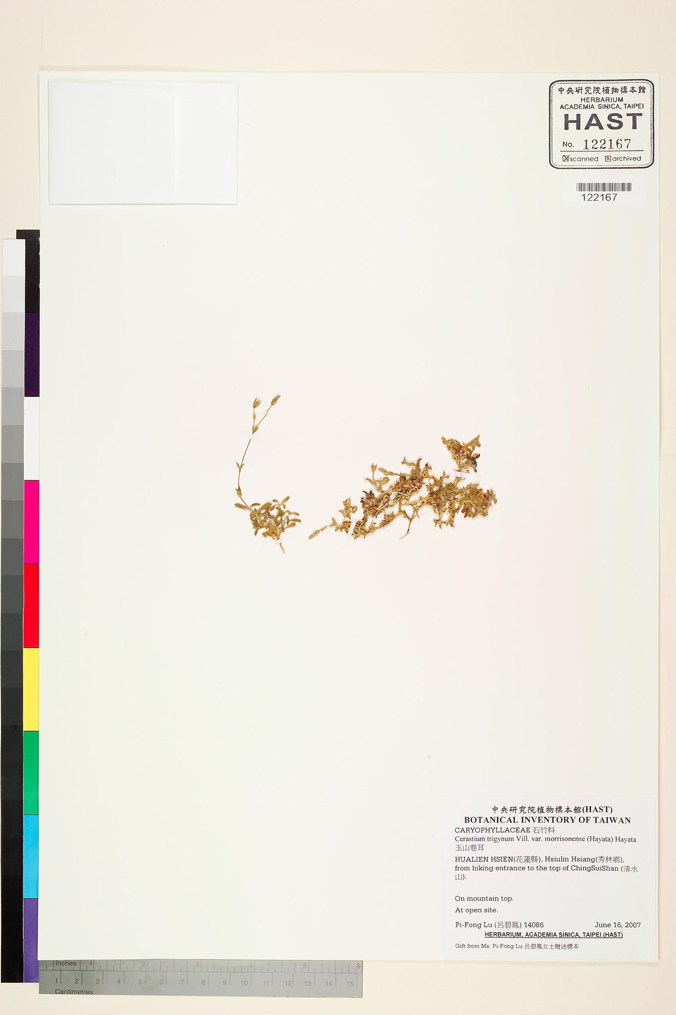 Sample image for viewer