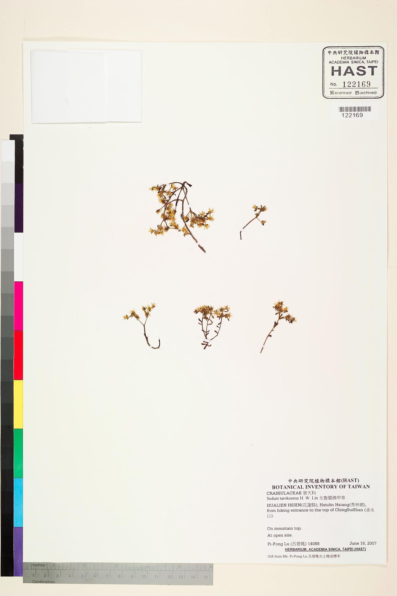 Sample image for viewer