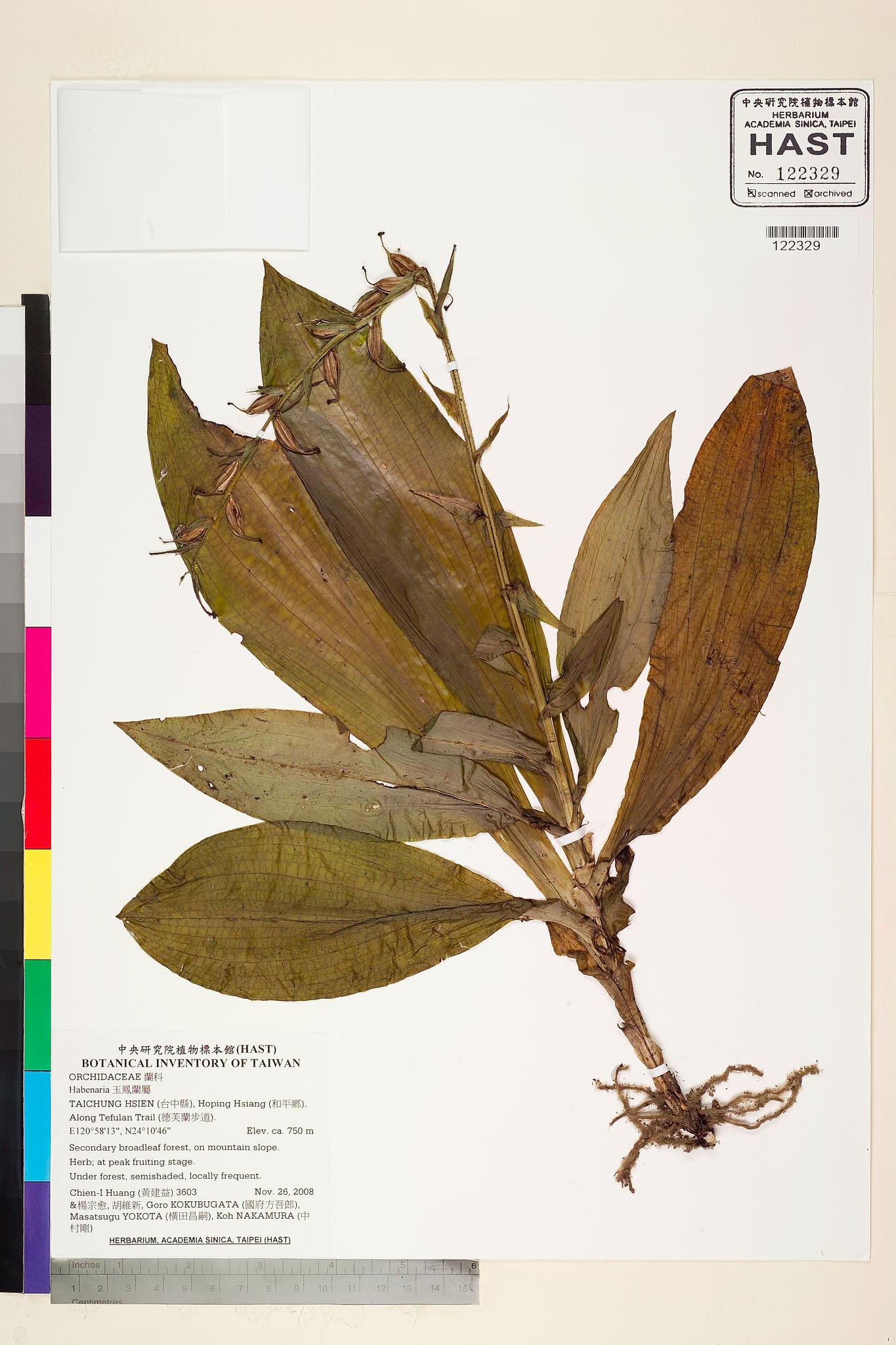 Sample image for viewer