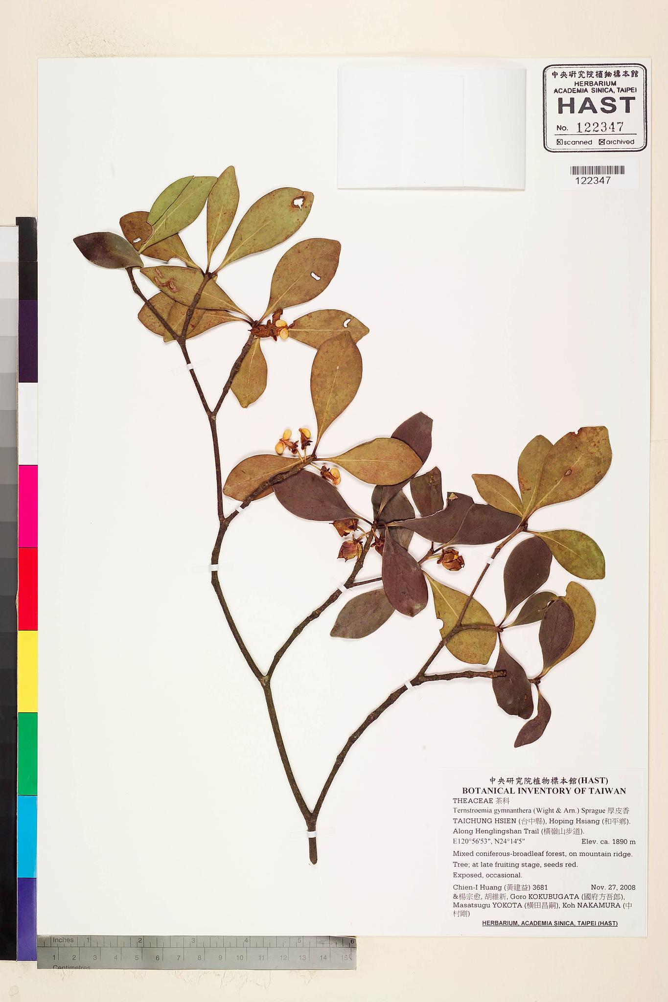 Sample image for viewer