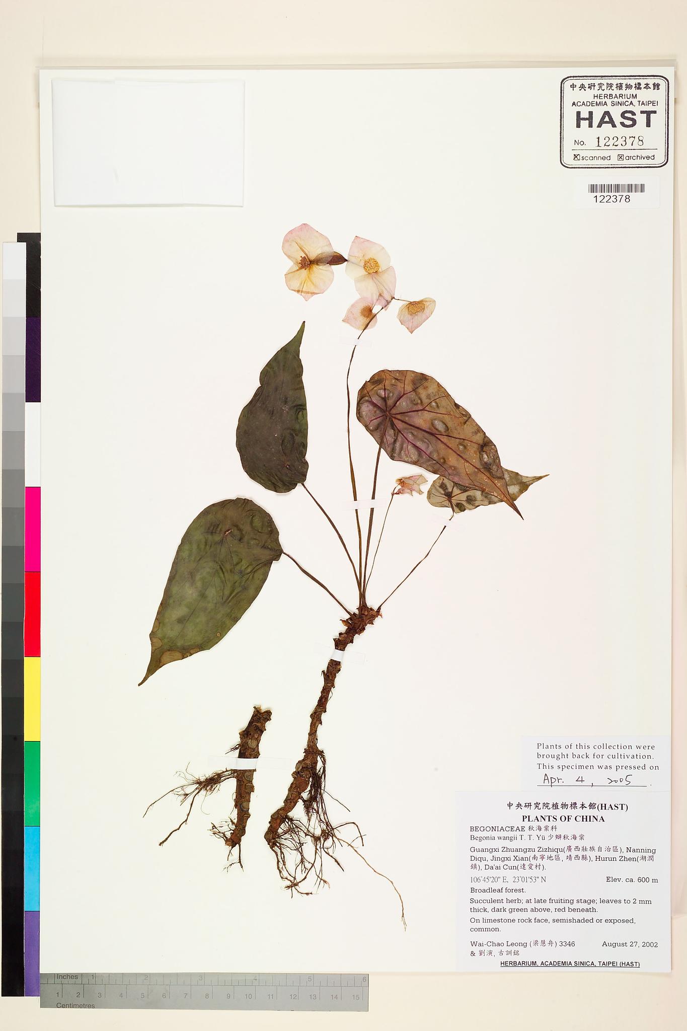 Sample image for viewer