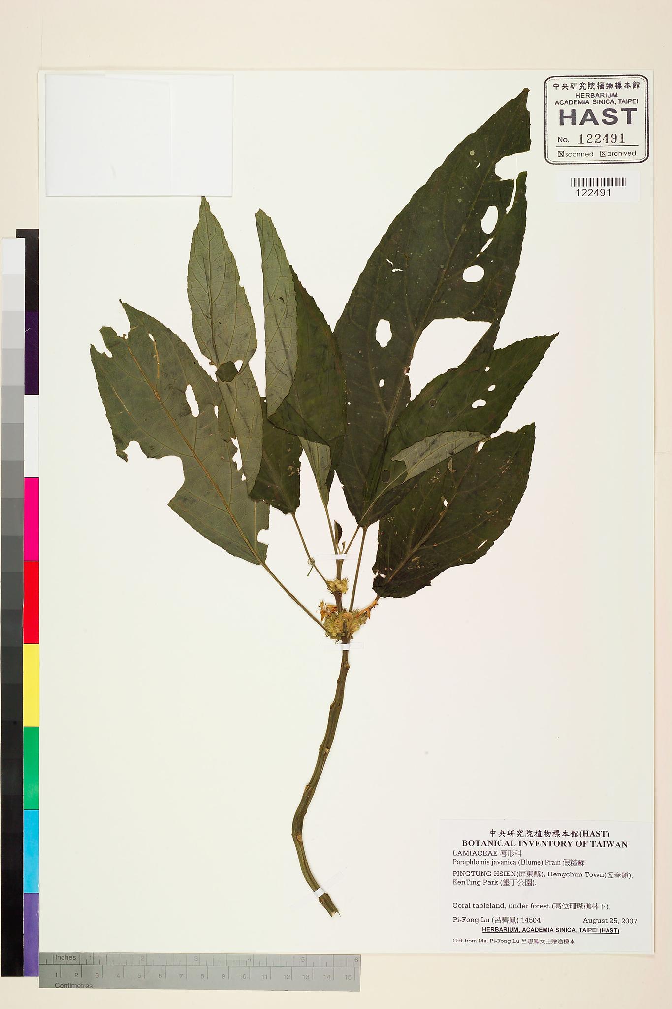 Sample image for viewer