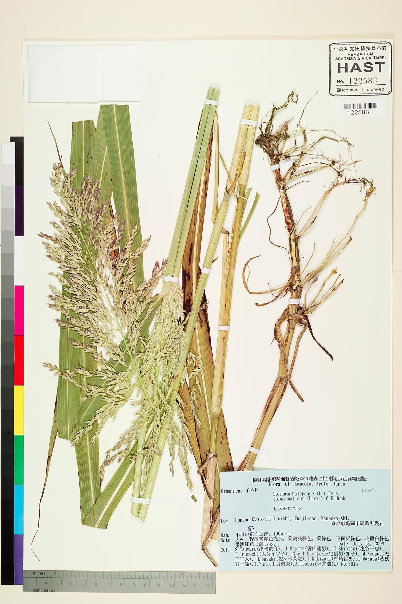 Specimen image