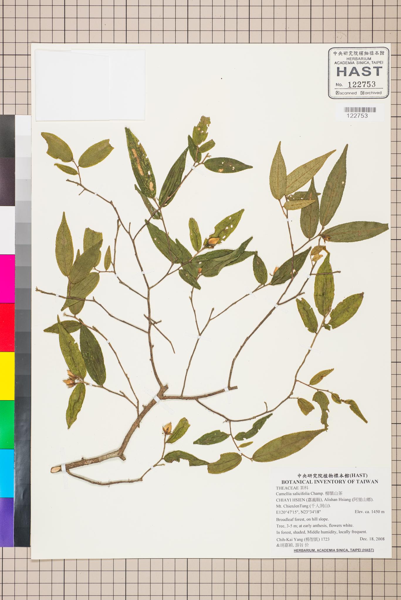 Specimen image