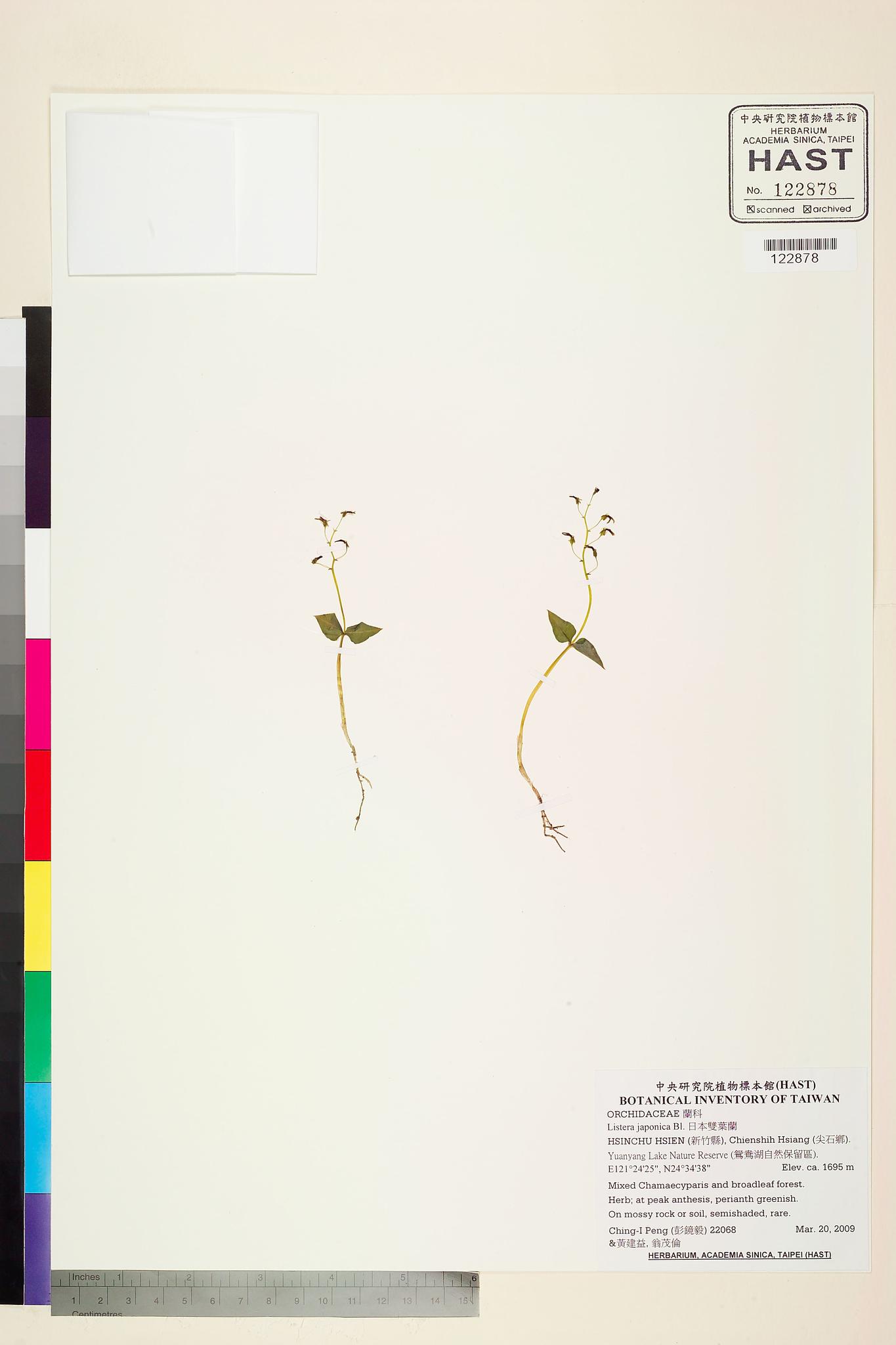 Sample image for viewer