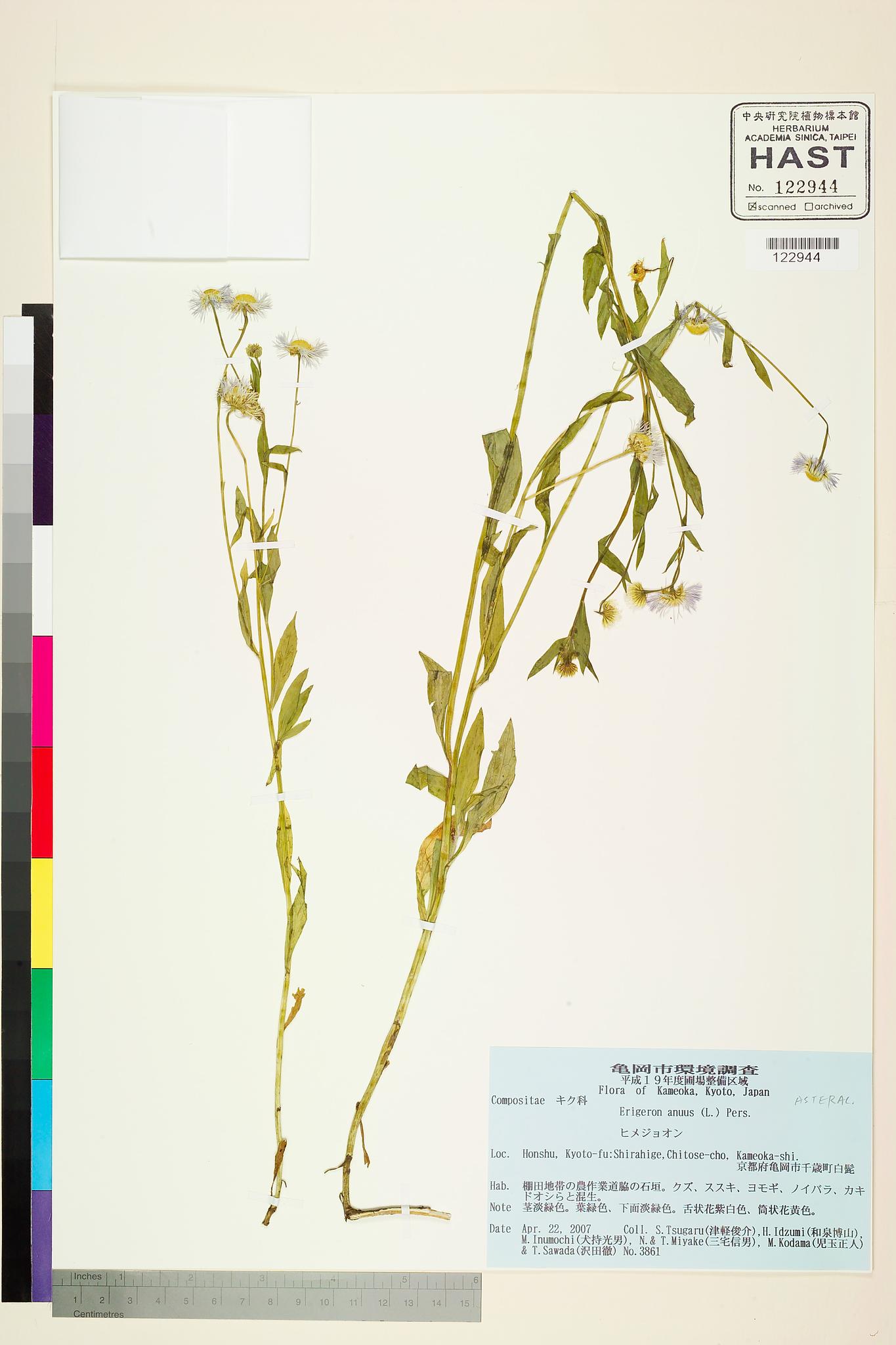 Sample image for viewer