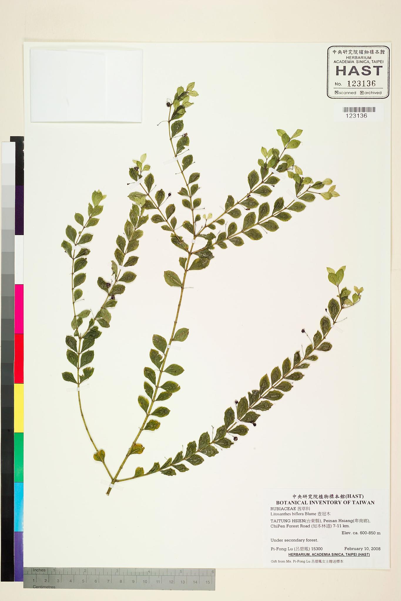 Sample image for viewer