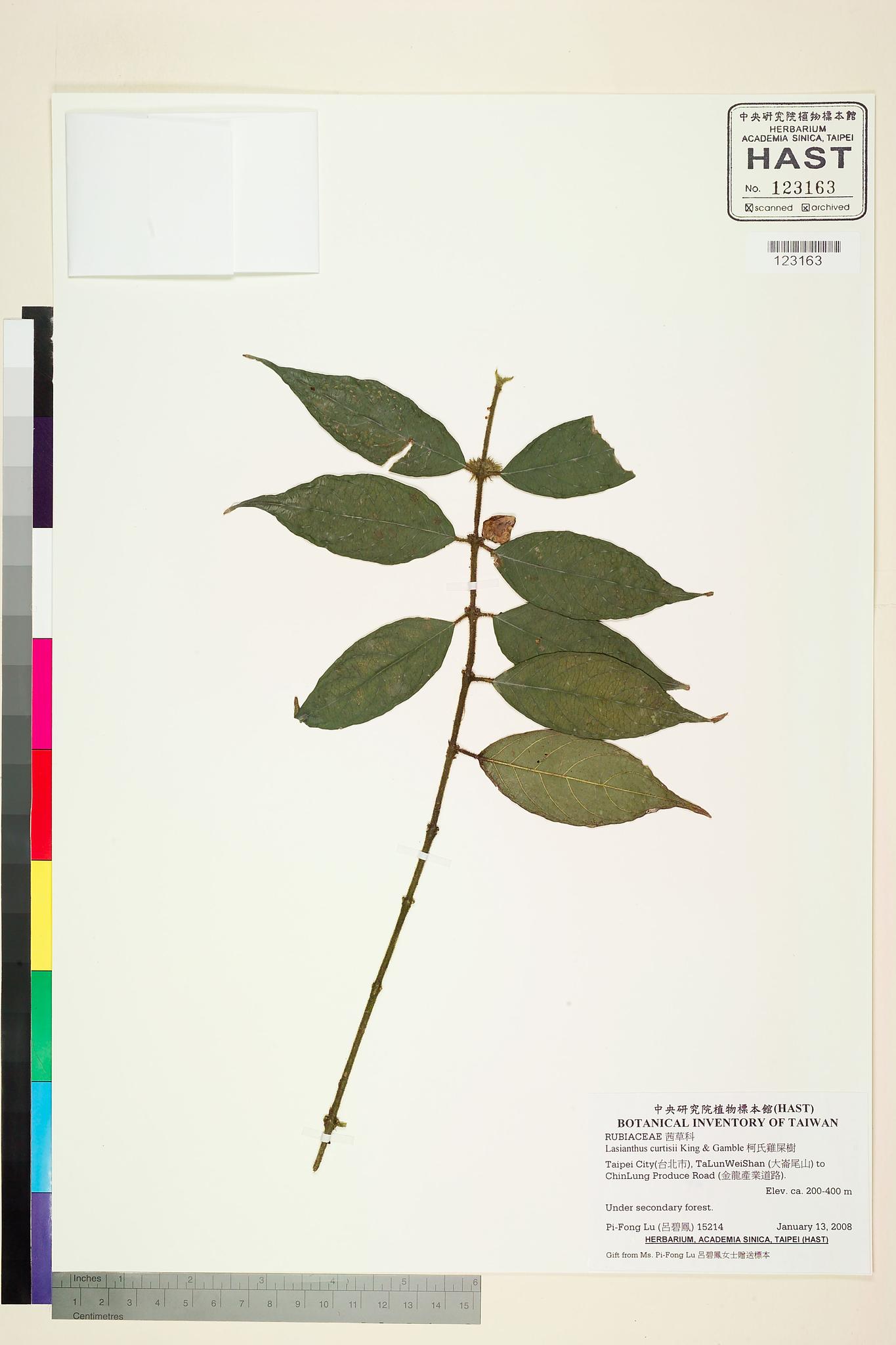 Sample image for viewer