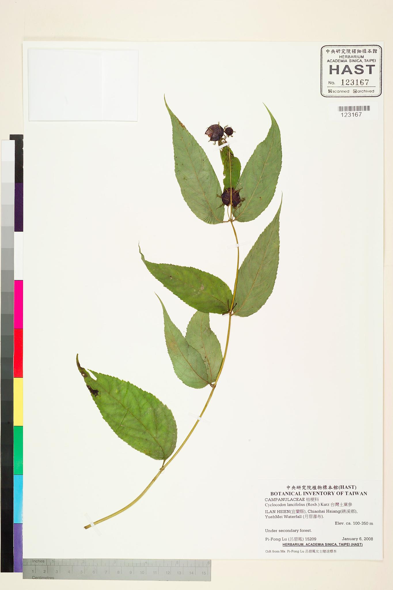 Sample image for viewer