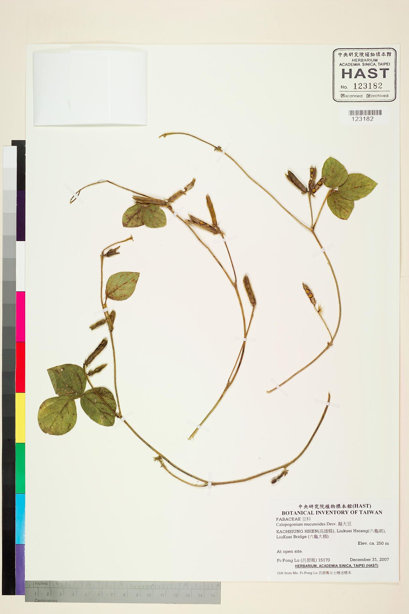 Sample image for viewer