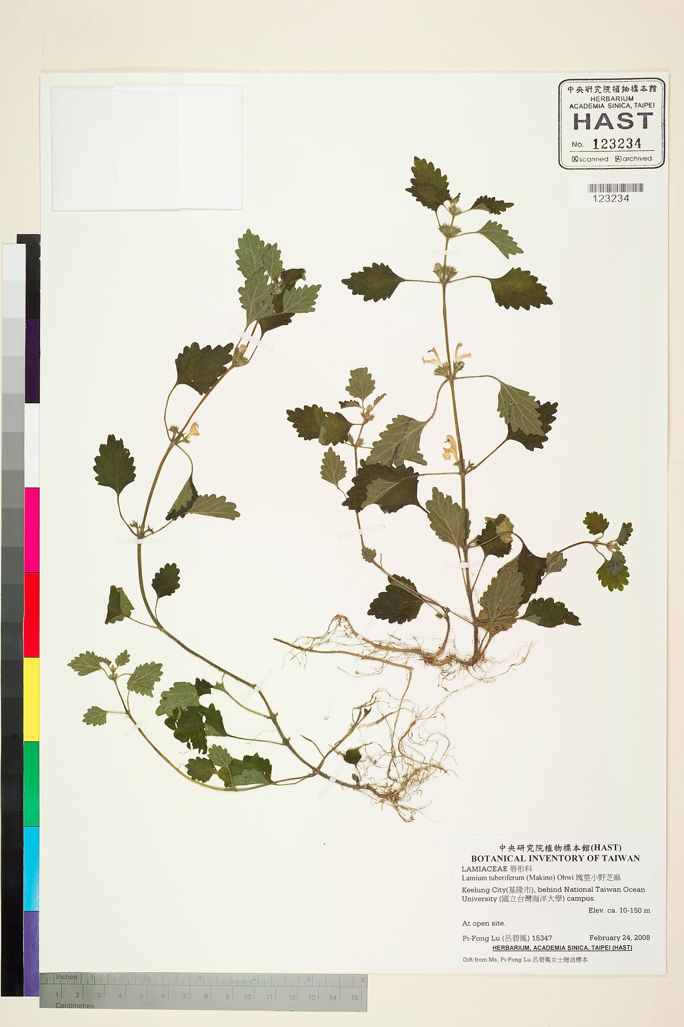 Sample image for viewer