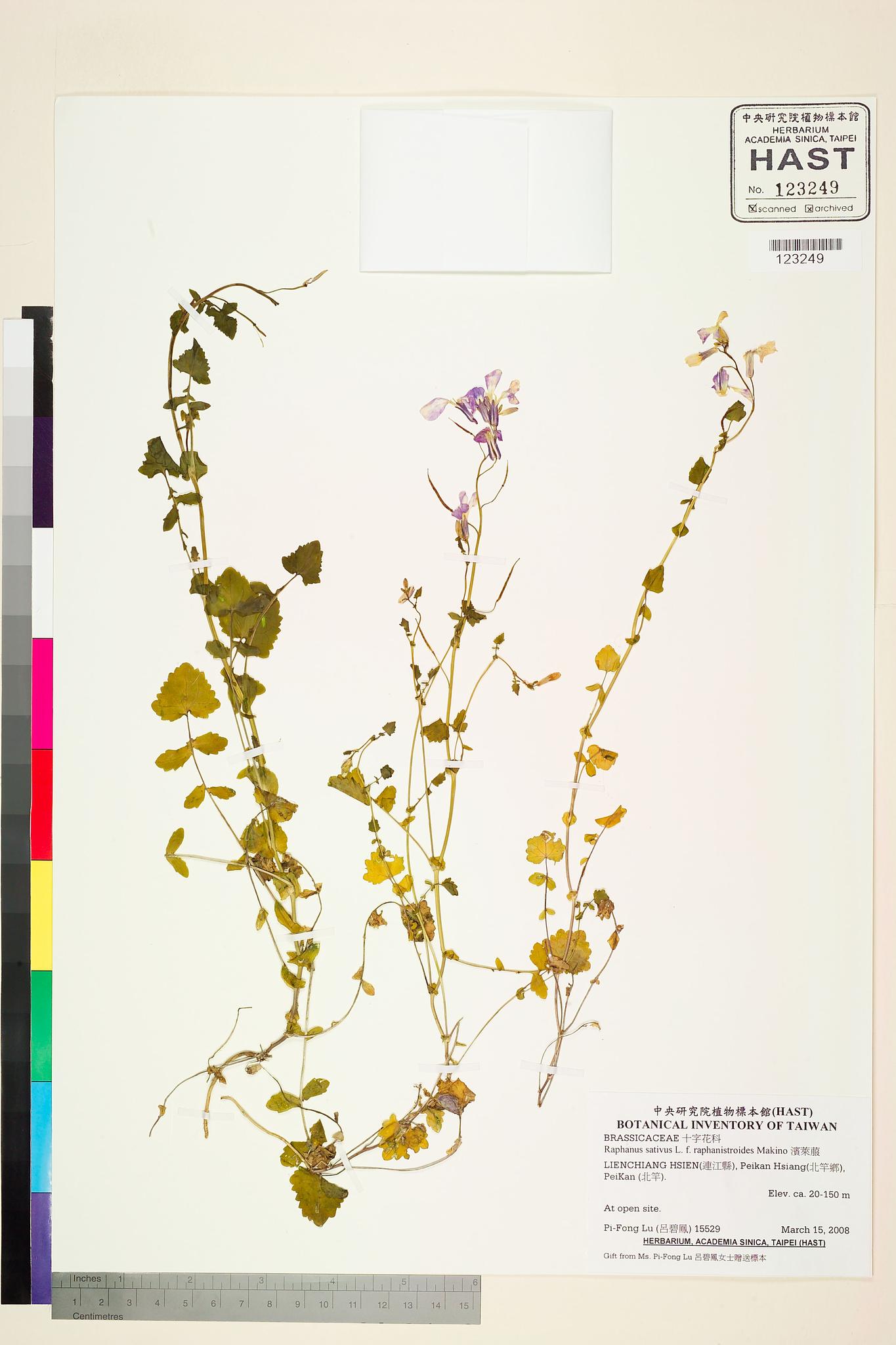 Sample image for viewer