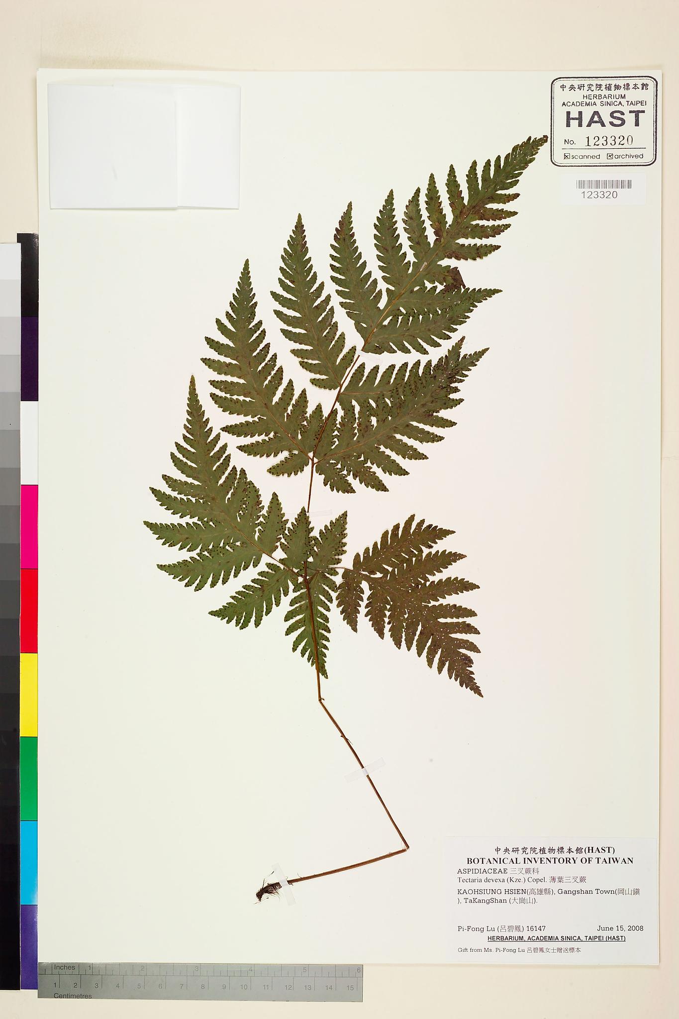 Sample image for viewer