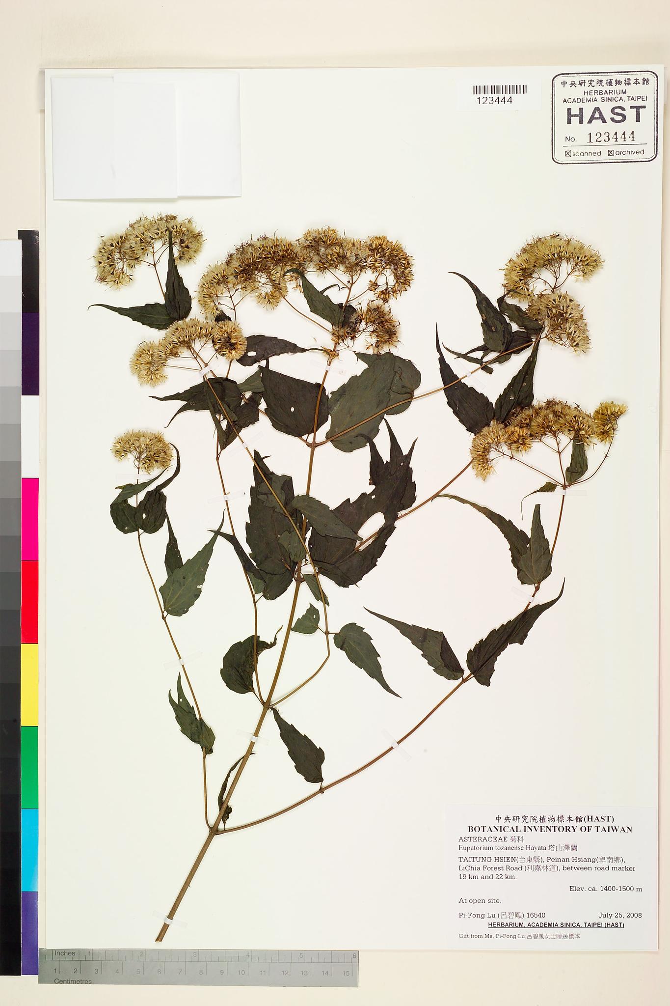 Sample image for viewer