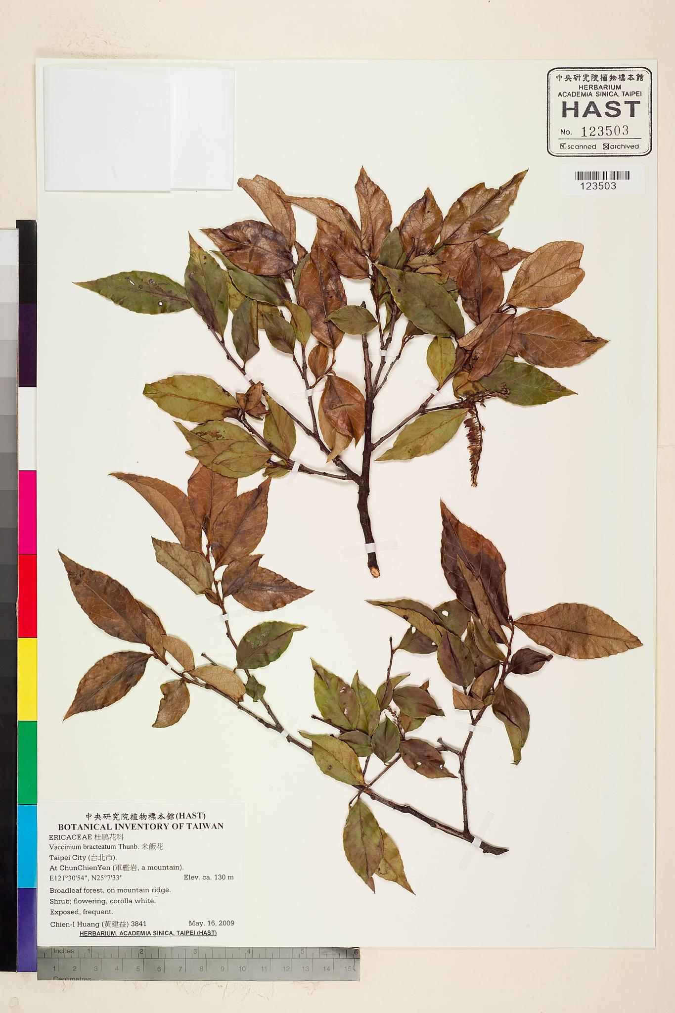 Sample image for viewer